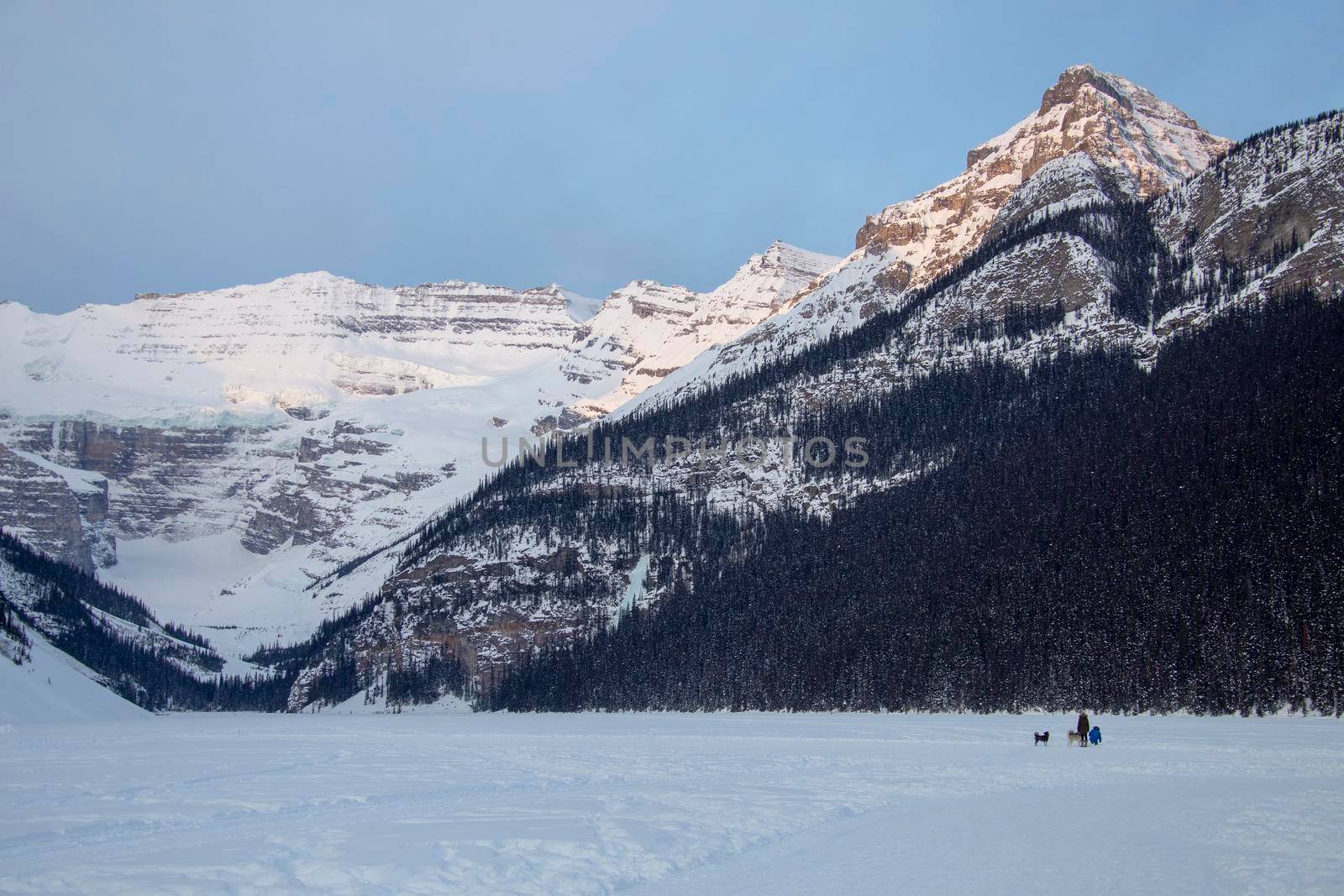 Ice Rink Lake Louise Dogs by pictureguy