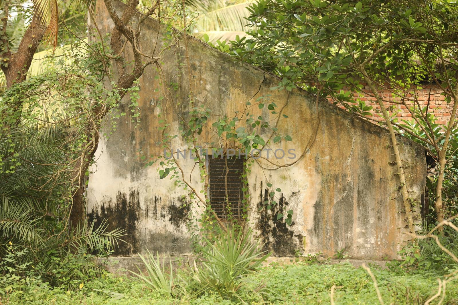 Rural village area India