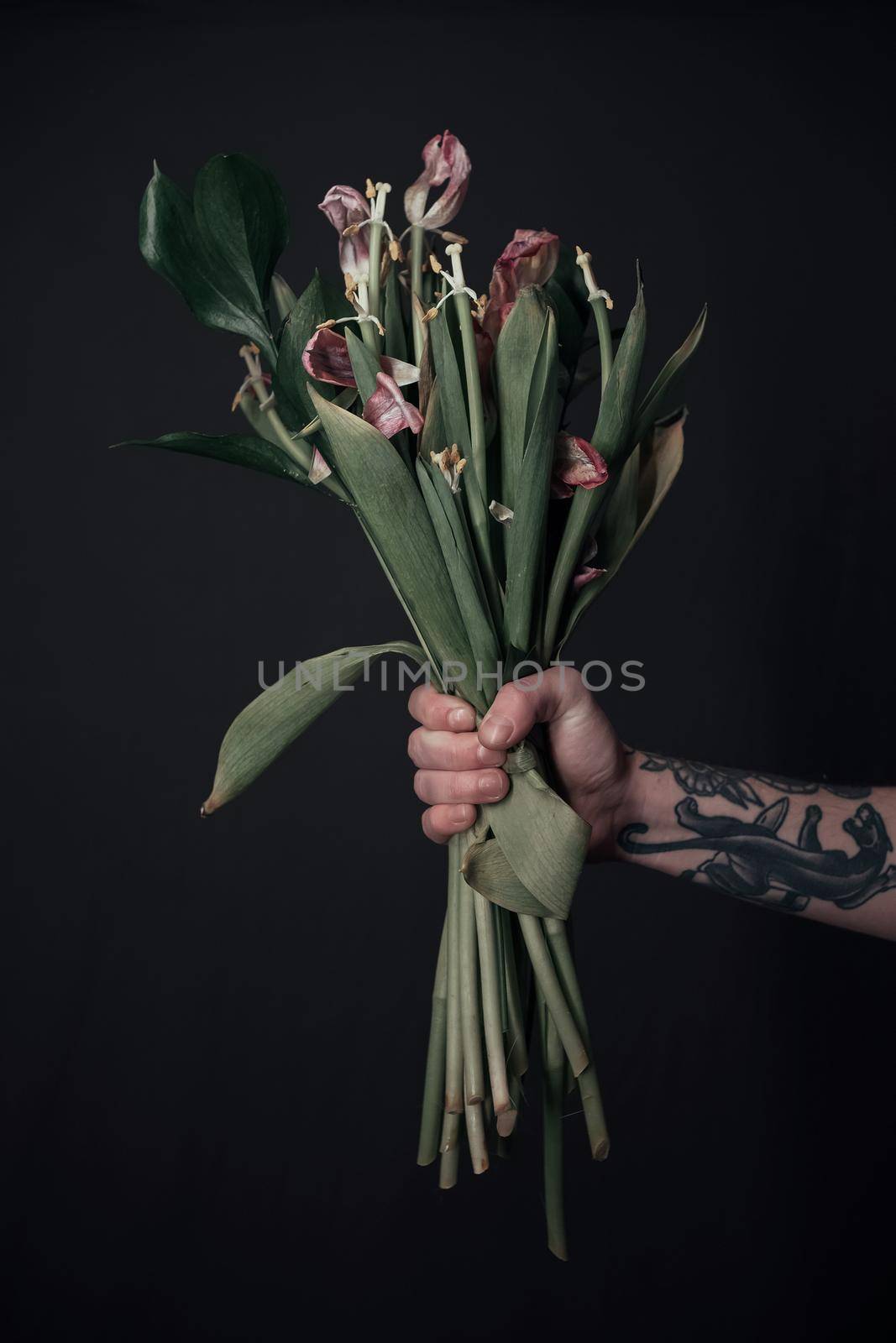 male hands holding a sluggish flower. grey background. Leaves in hands.