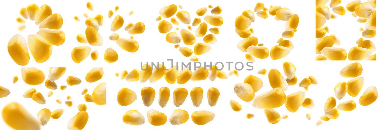 A set of photos. Ripe corn grains levitate on a white background.