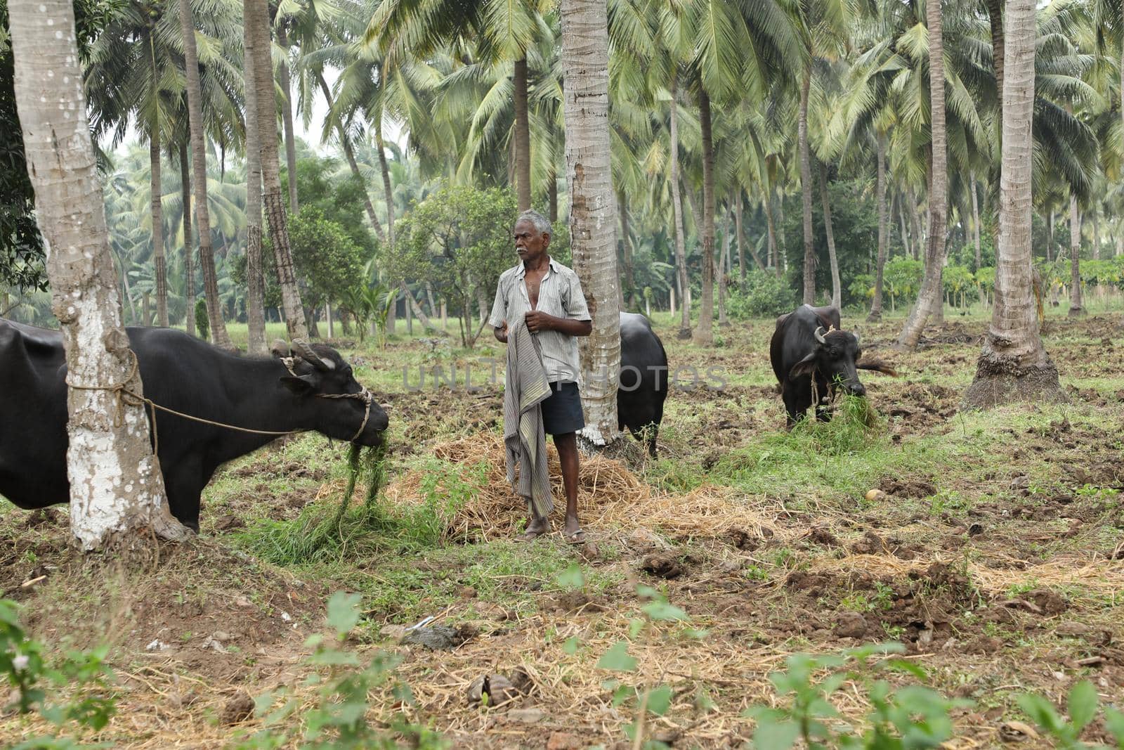 village poor people in Hyderabad India 5th March 2023