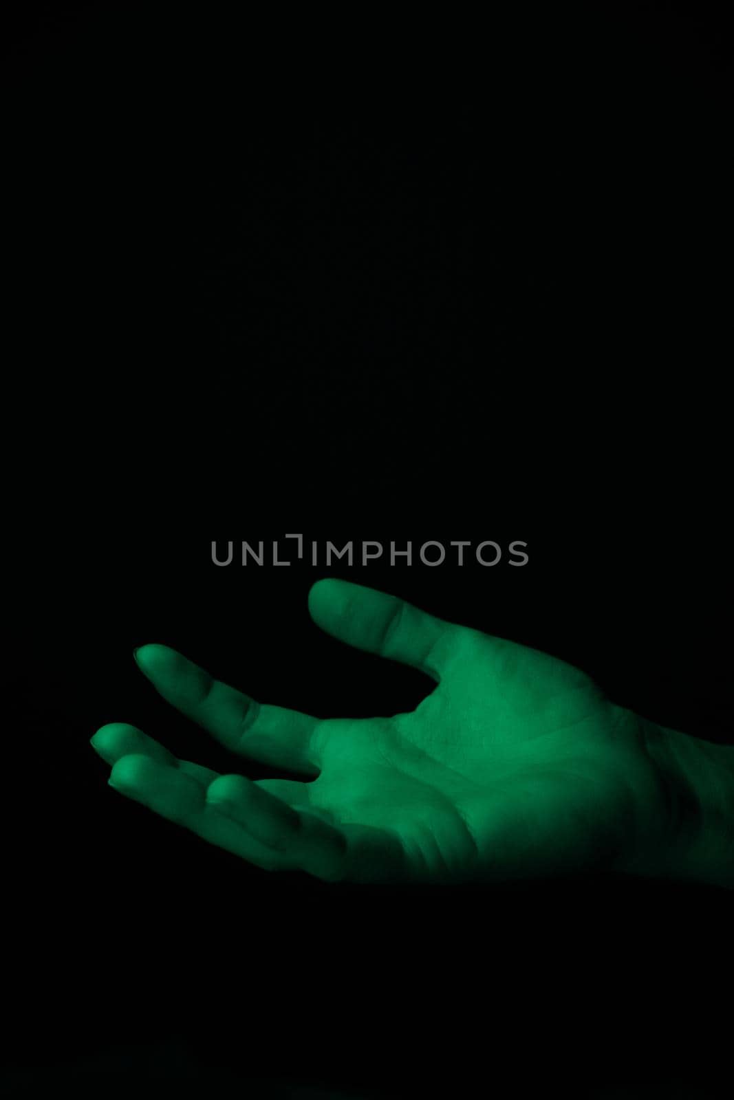 hand on a black background catches falling tulip petals