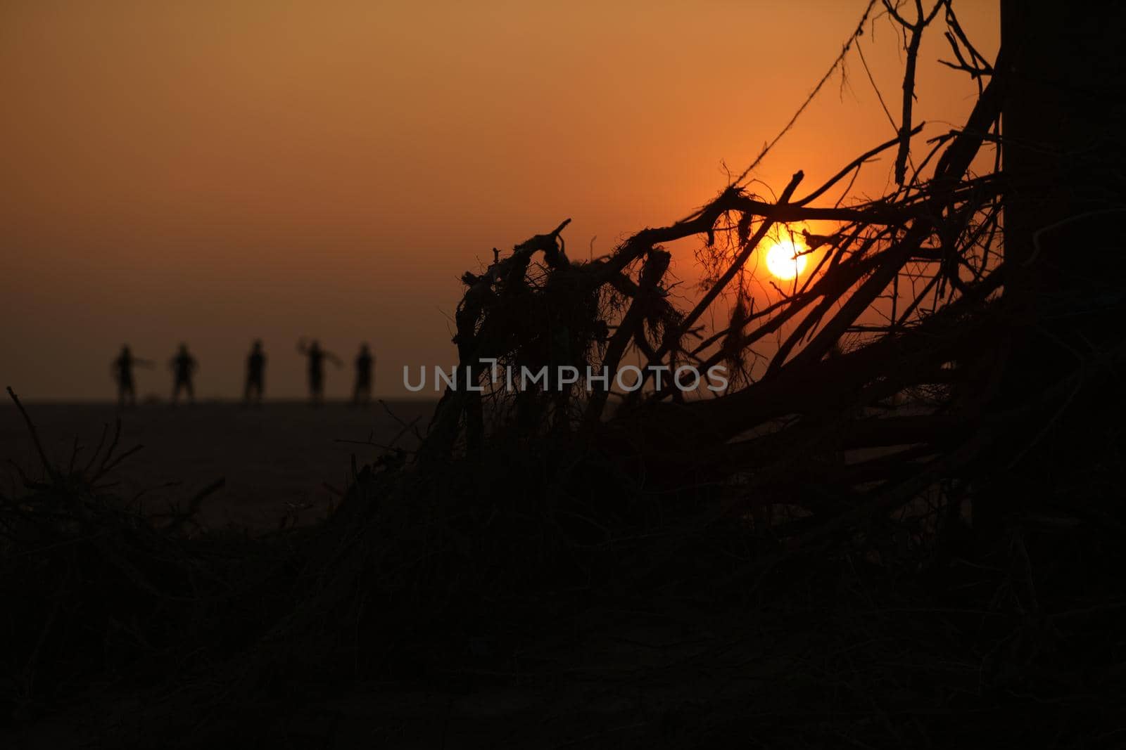 Rural Village area India