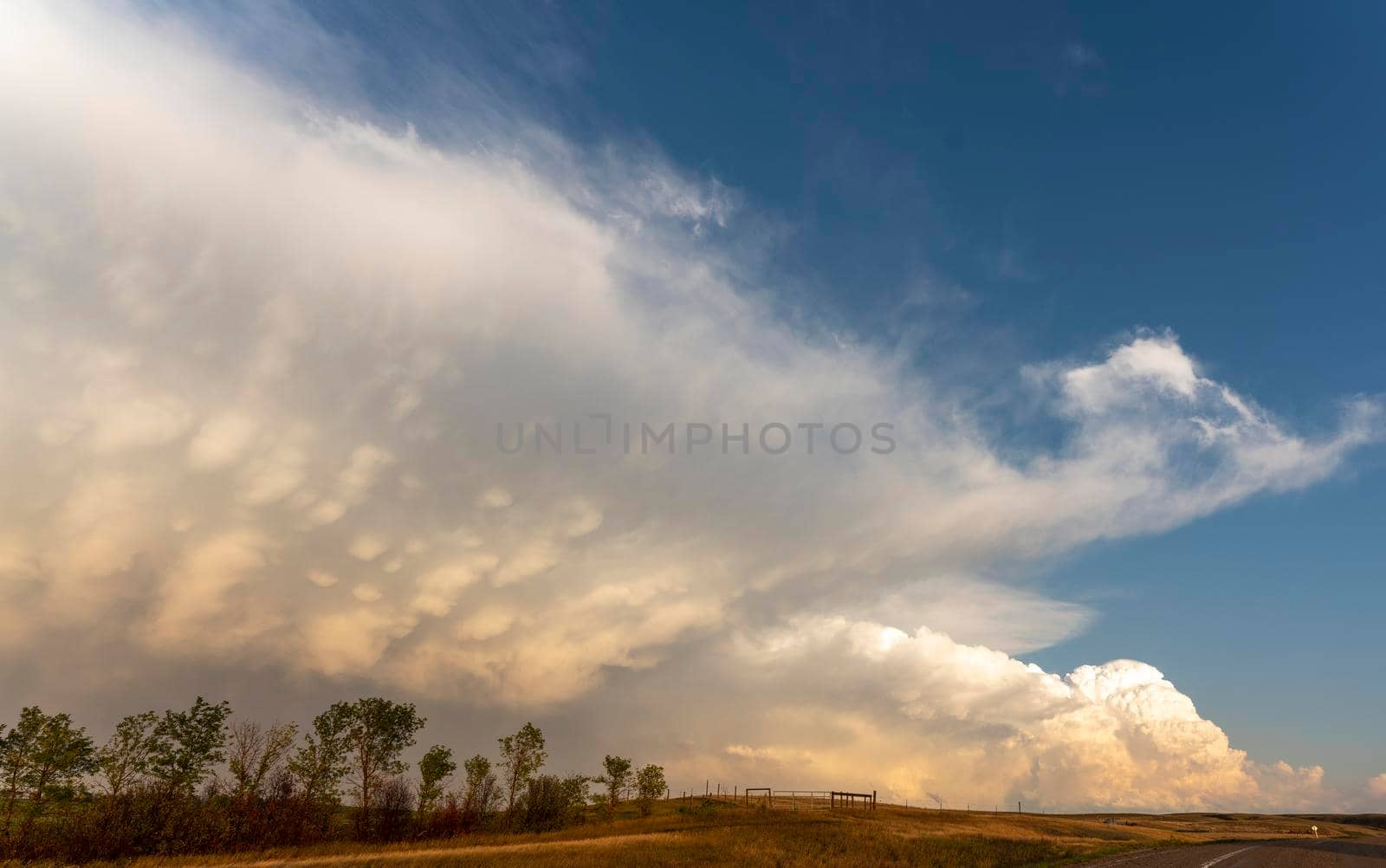 Prairie Storm Canada in Saskatchewan Summer Clouds