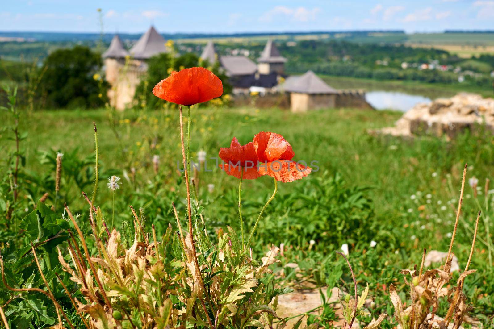 Two poppy flowers and an old fortress by the river by jovani68