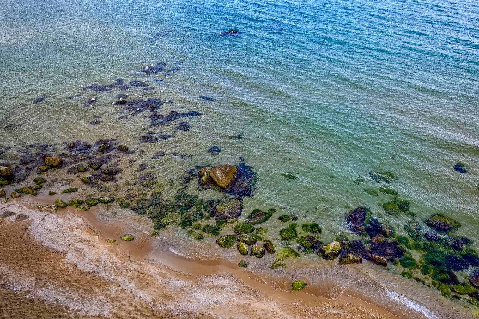 Aerial drone view of crystal clear lagoon sea water surface with rocks and seagulls