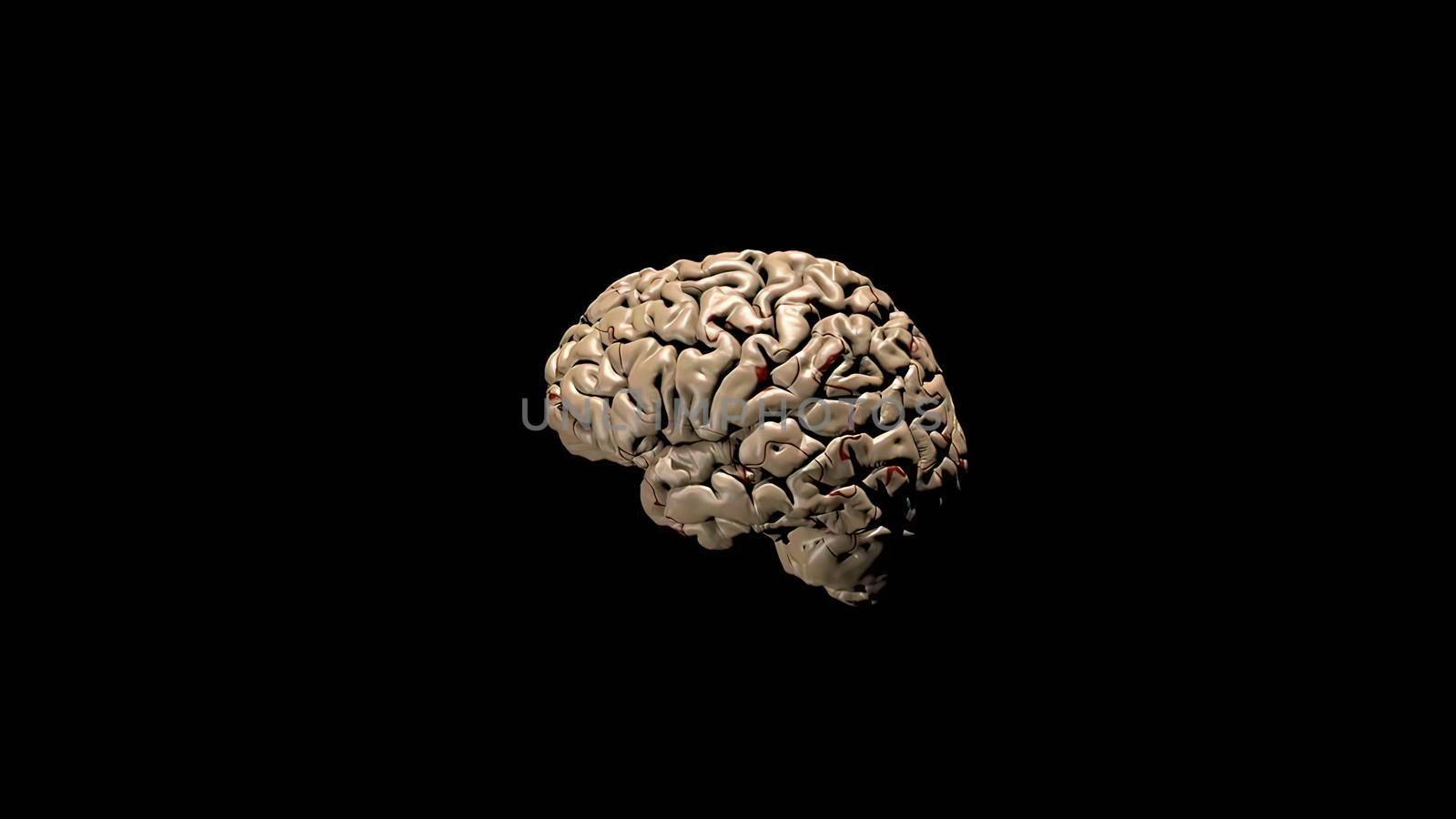 Medical 3D illustration of human brain .