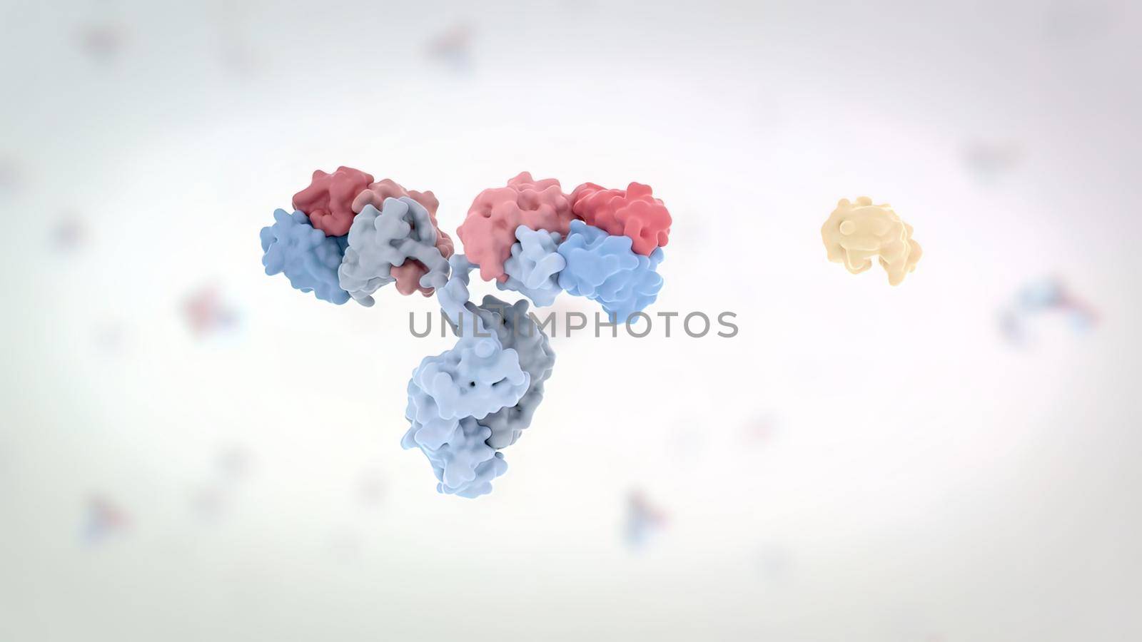 Antibodies are proteins made by the immune system to fight infections such as viruses and can help prevent the same infections from occurring in the future. 3D Render