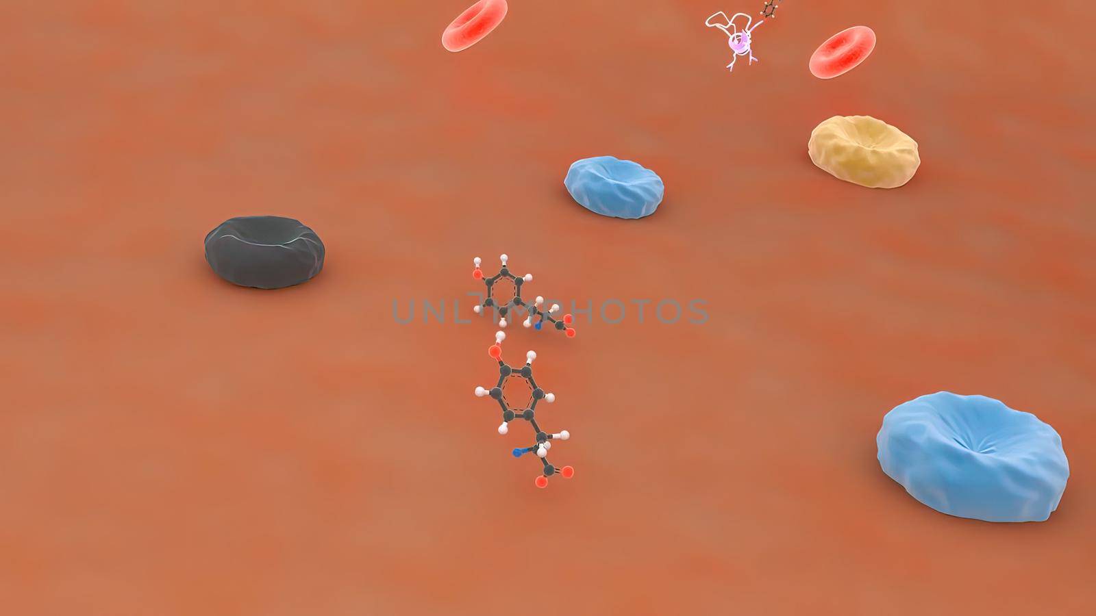 Receptors, transport of monoclonal antibodies across the blood-brain barrier 3D medical illustration