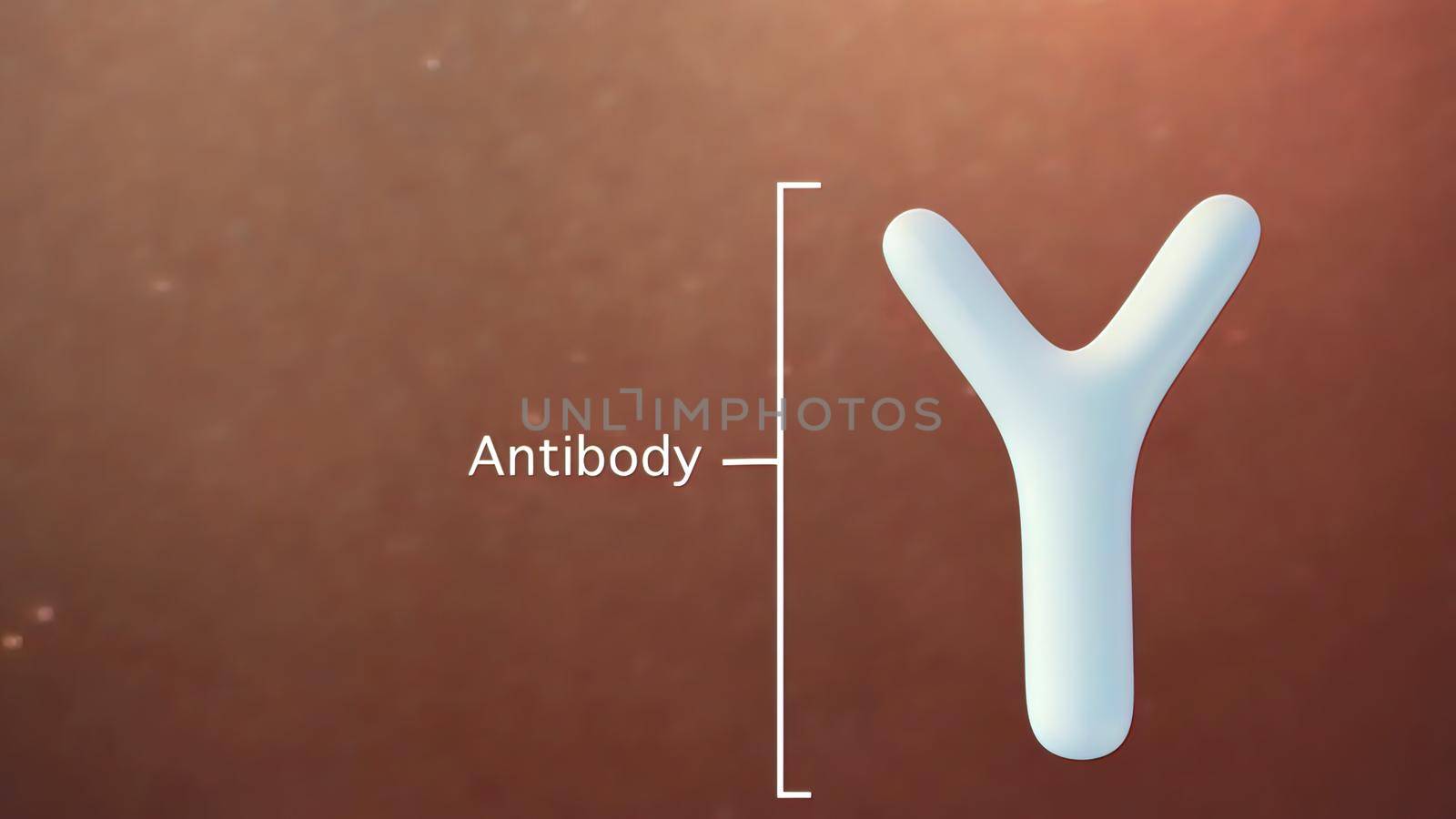 Antibodies that are part of our immune system by creativepic