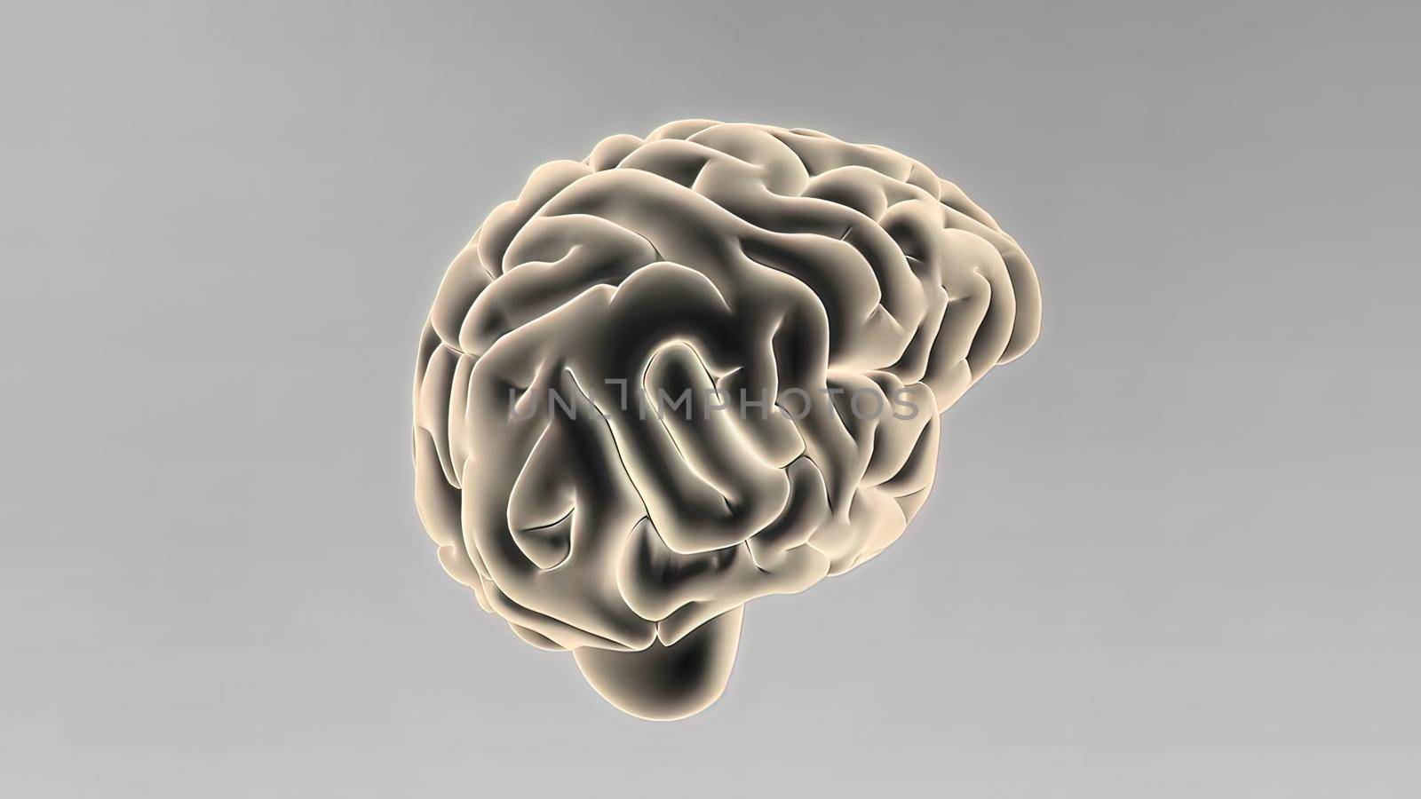 Medical 3D illustration of human brain by creativepic