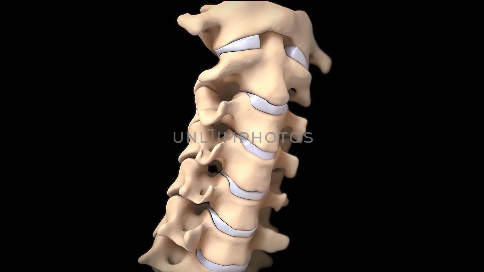 3D medical illustration of cervical spine on black background by creativepic