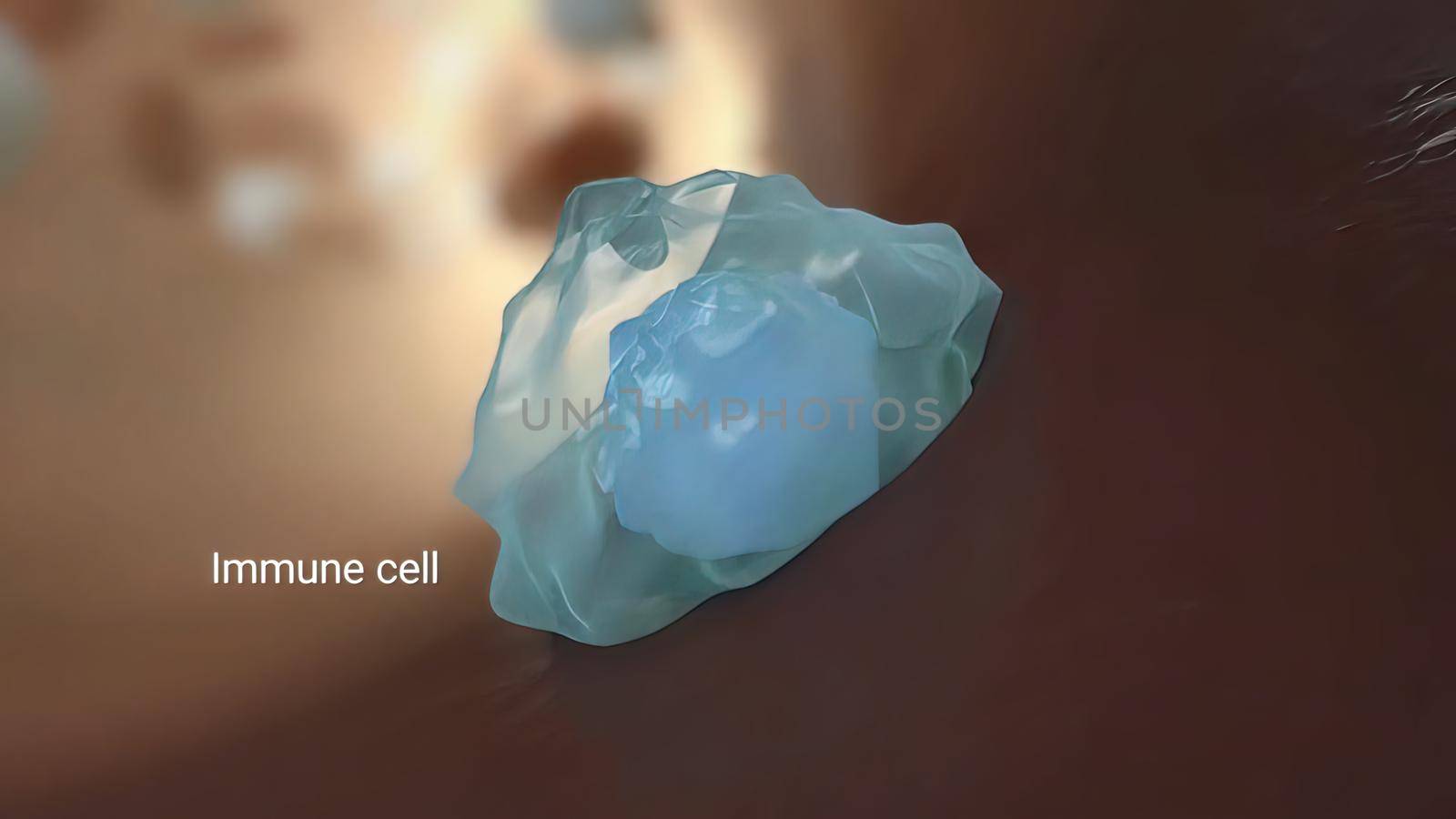 The macrophage then releases cytokines, chemicals that attract other leukocytes to the infected area. 3d medical illustration