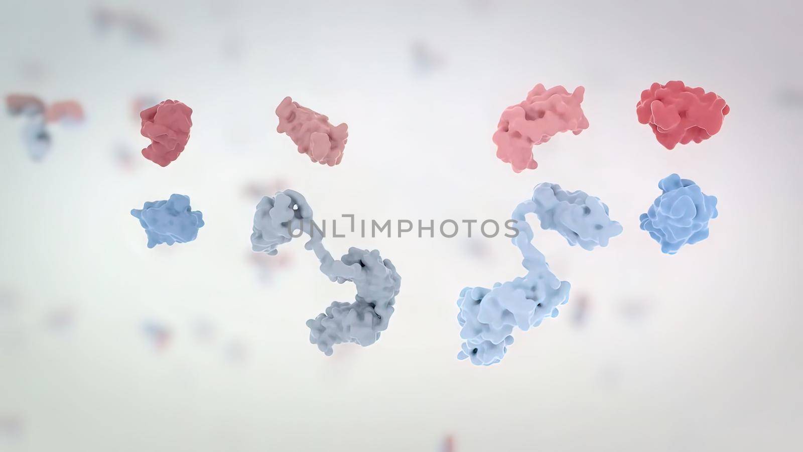 The structure of a typical antibody molecule.Antibodies and amino acids by creativepic