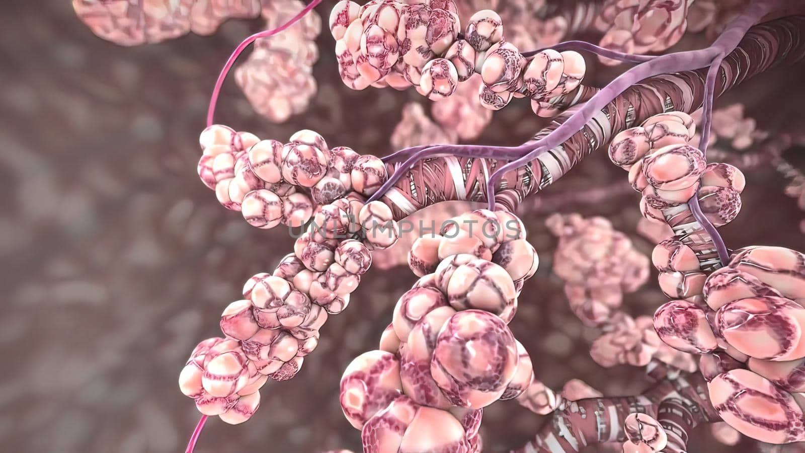 Tracheobronchial tree is the part that transmits air from the upper respiratory tract to the lungs. 3D illustration