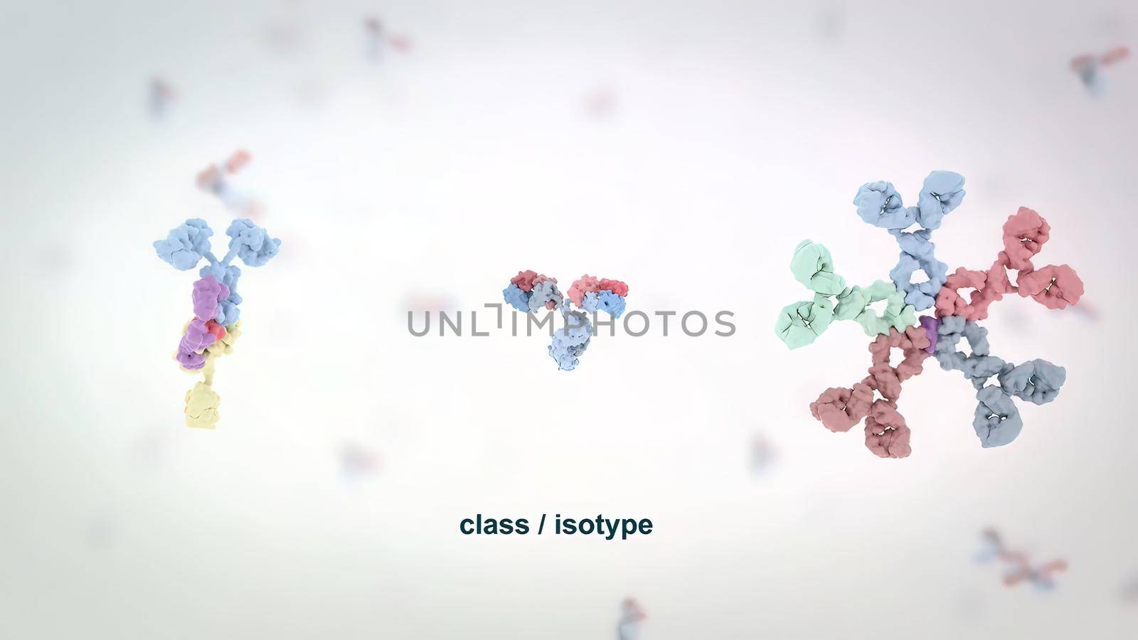 Antibodies are proteins produced by the immune system to fight infections. by creativepic