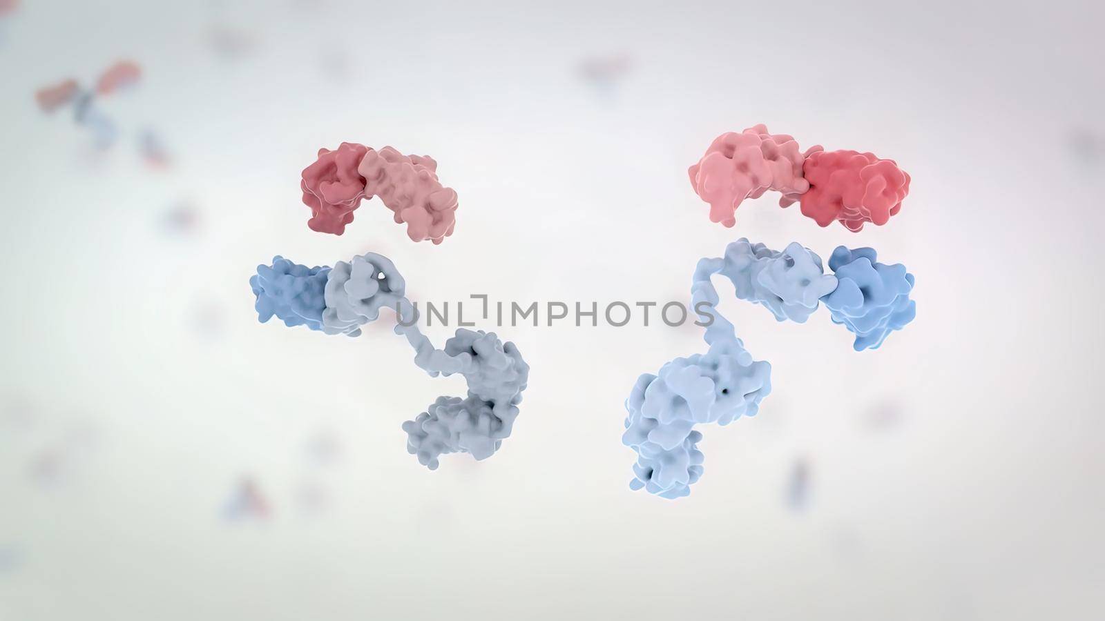 The structure of a typical antibody molecule.Antibodies and amino acids by creativepic