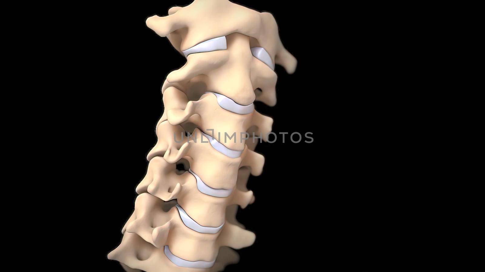 3D medical illustration of cervical spine on black background by creativepic