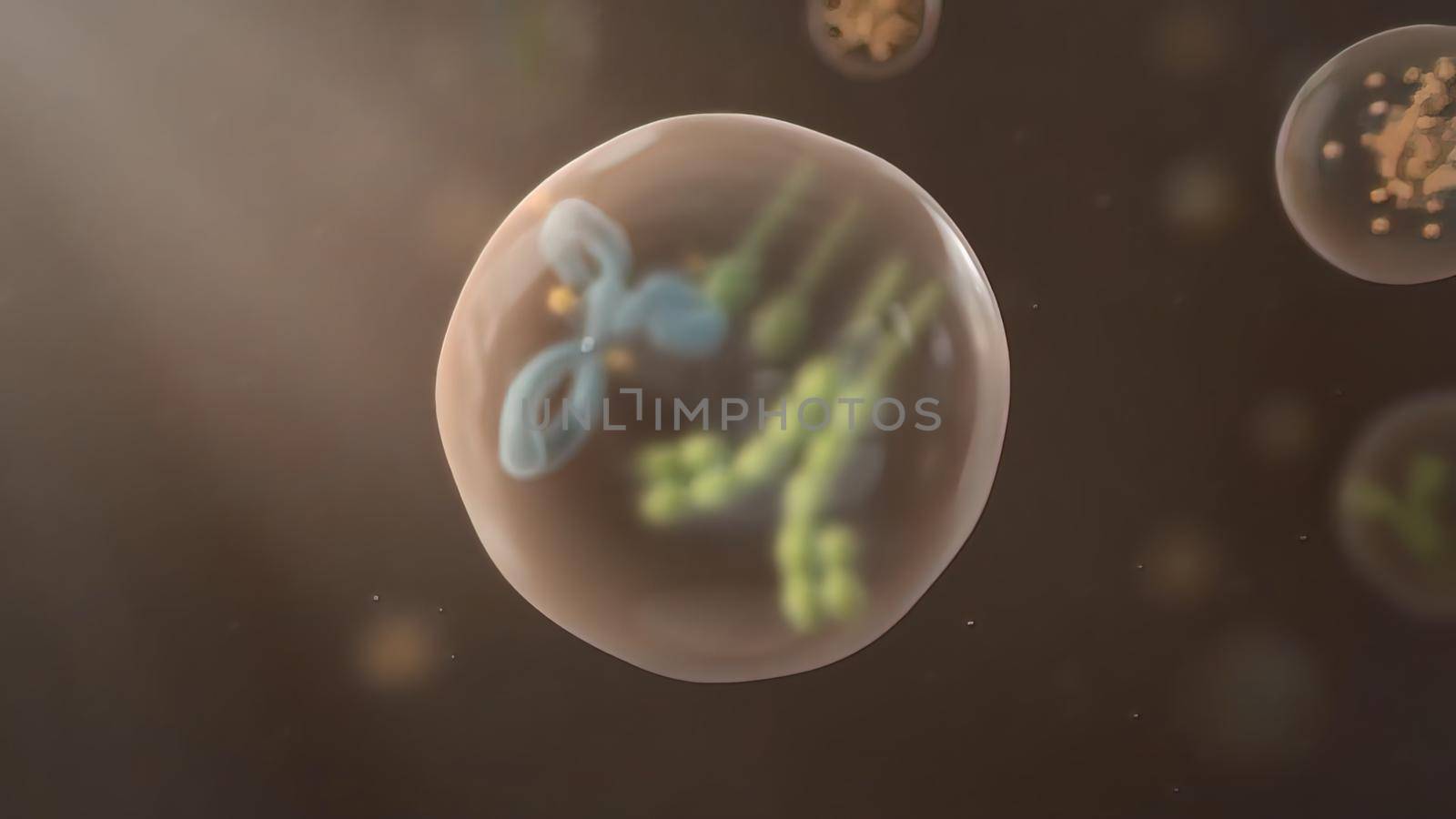 Cells provide main functions.They provide structure and support by creativepic