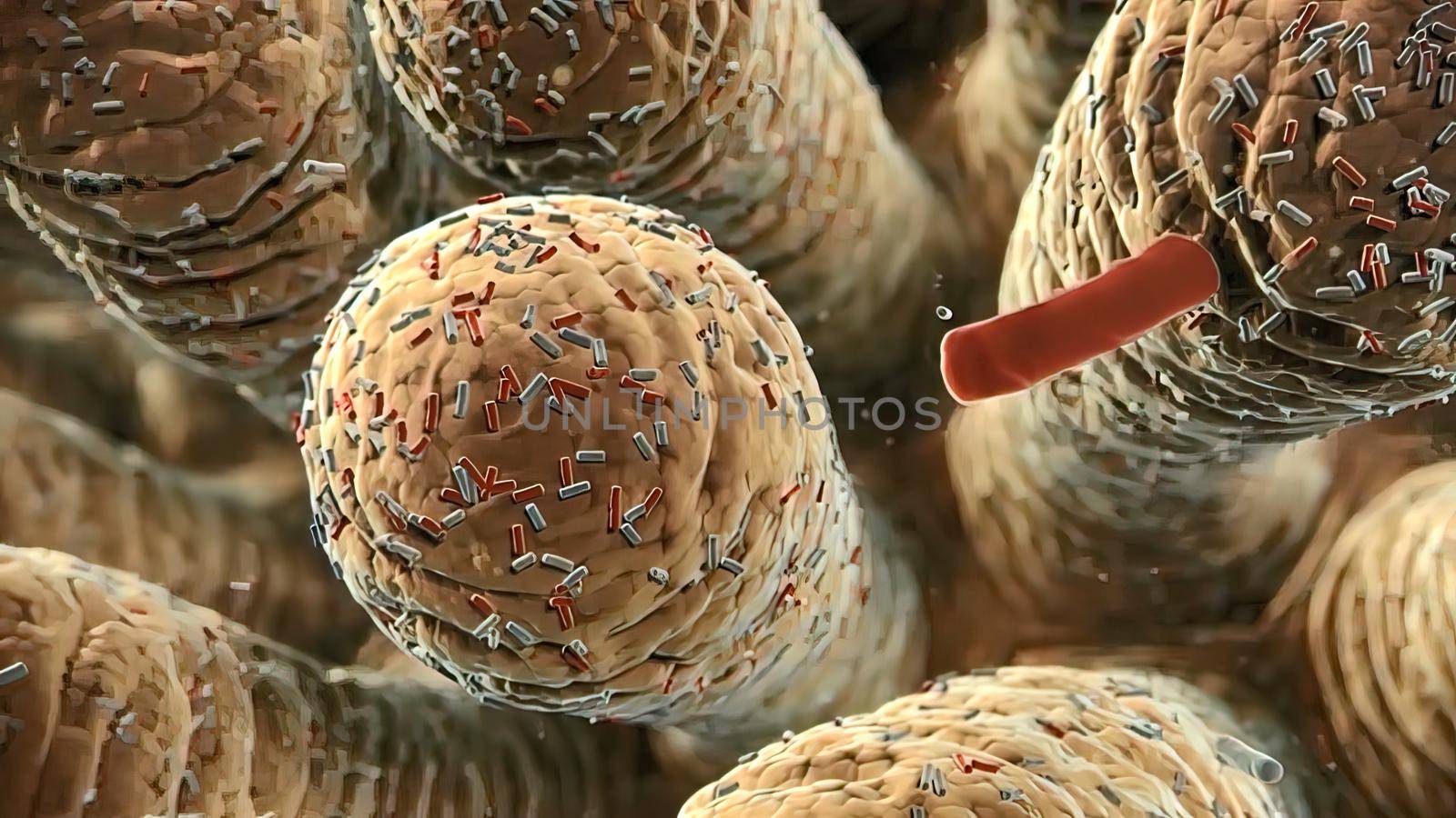 Bacteria of different shapes, rod-shaped bacteria and cocci, human microbiome, human pathogenic bacteria, 3D illustration