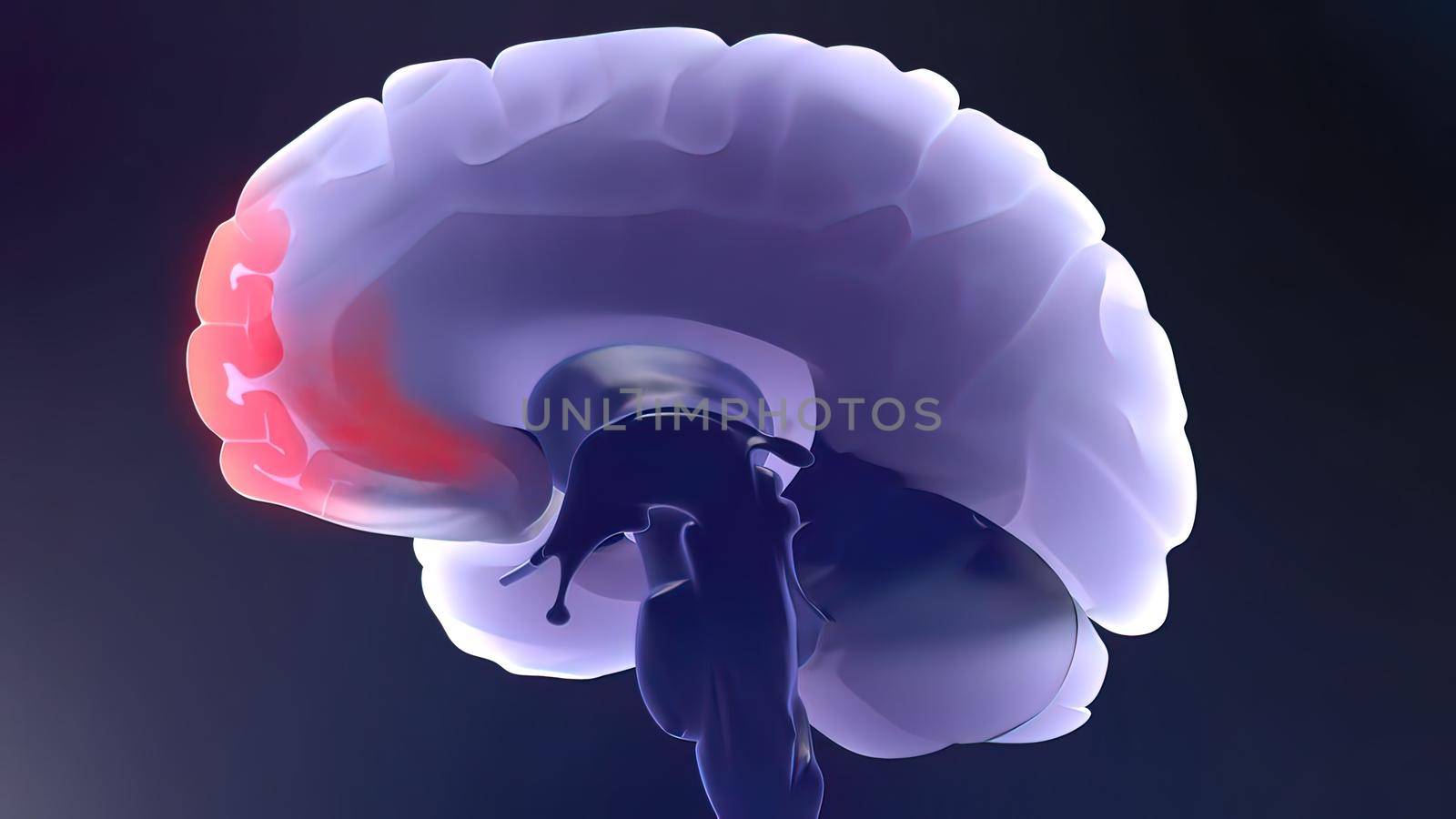 Neurons in the brain.Synapse and Neuron cells sending electrical chemical signals. Activity of electrical impulses synapses, axons, neurotransmitters, dendrites in the brain 3D illustration