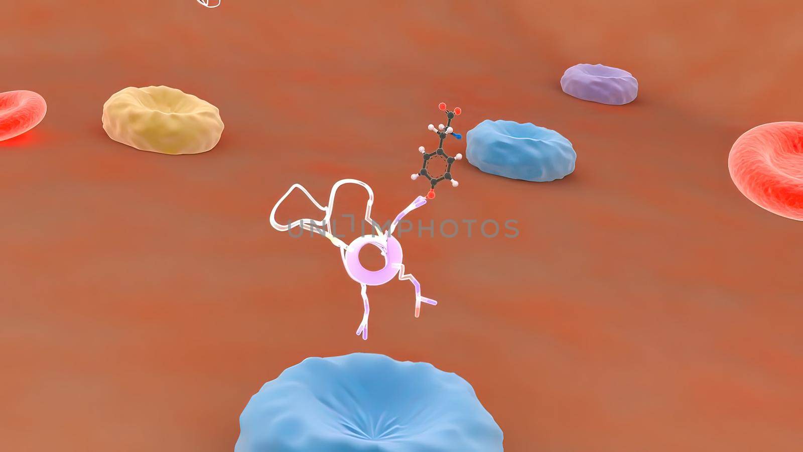 Receptors, transport of monoclonal antibodies across the blood-brain barrier 3D medical illustration