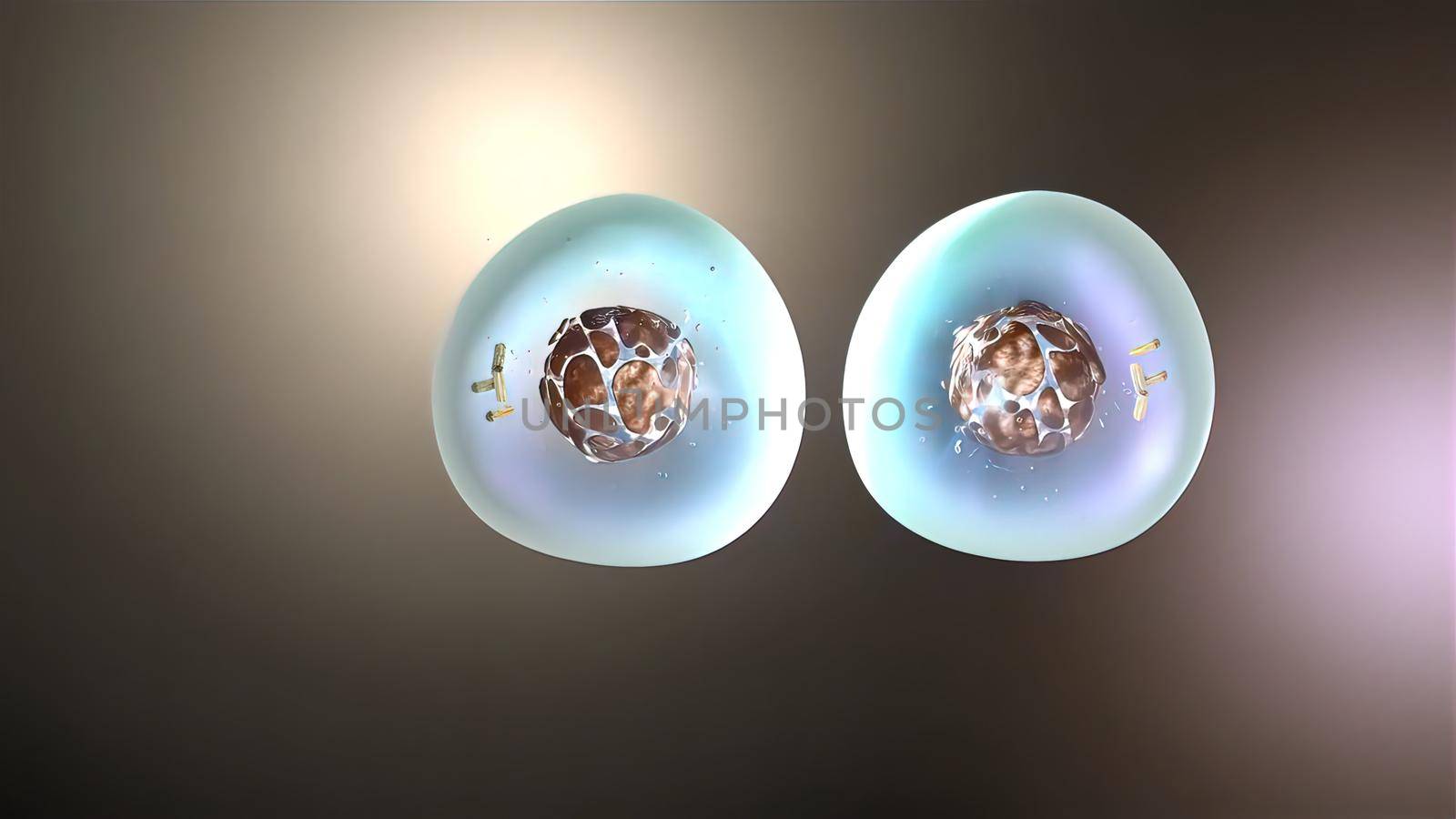 3D Medical illustration of cell division, mitosis by creativepic