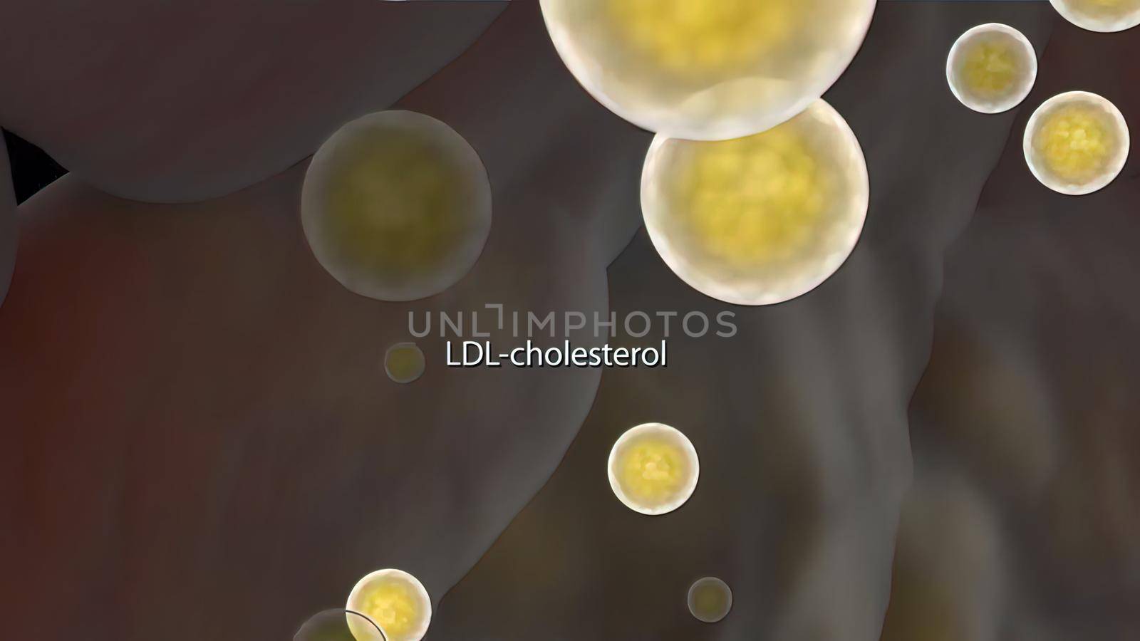 The liver either makes cholesterol or uses cholesterol from other sources. 3D illustration
