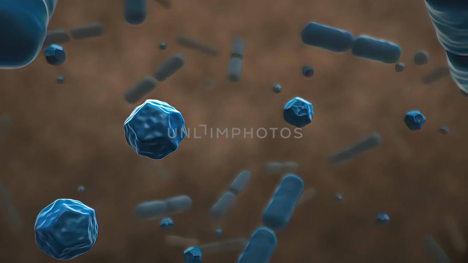 Normal flora of small intestine, lactic acid bacteria. Probiotic bacterium by creativepic