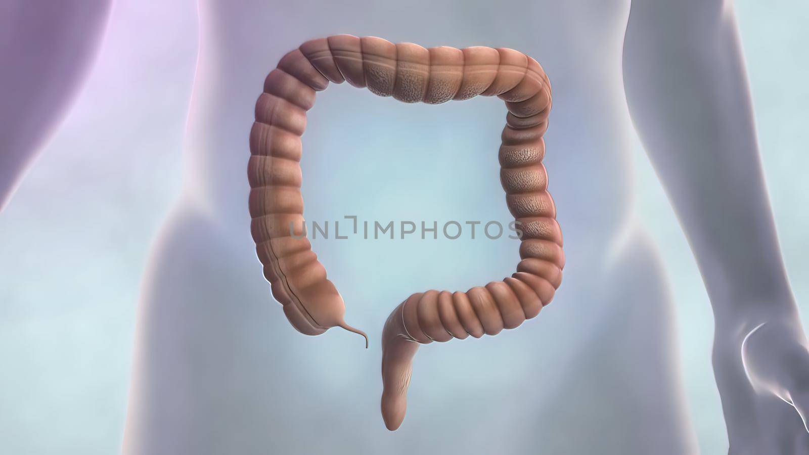 Colonoscopy is the visualization of the large intestine with a tube called a colonoscope. by creativepic