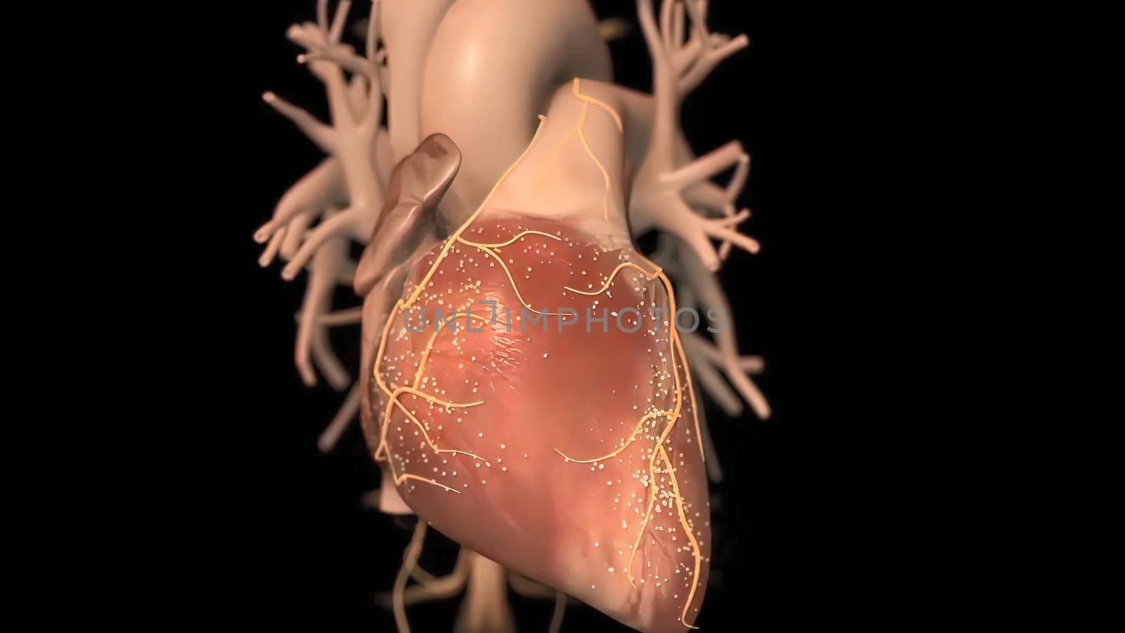 It means respiratory failure due to heart failure, edema, growth in the liver and obvious disease. 3D illustration