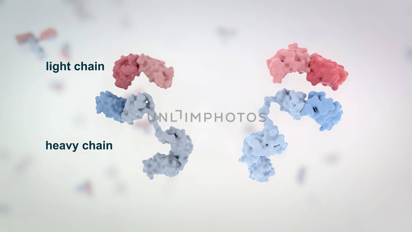 The structure of a typical antibody molecule.Antibodies and amino acids. 3D Render