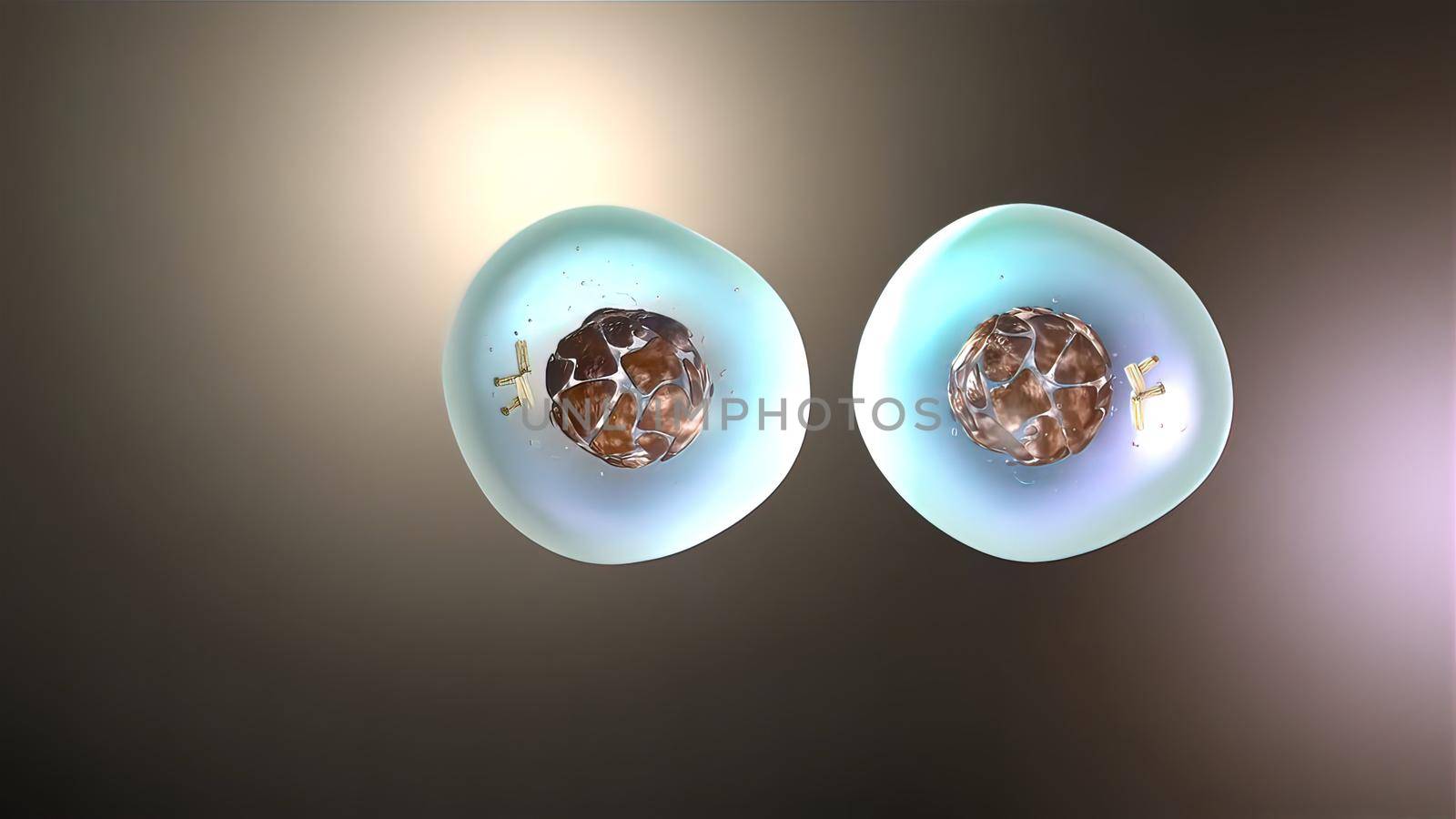 3D Medical illustration of cell division, mitosis by creativepic