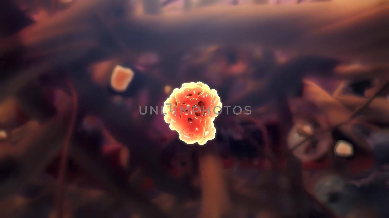 Connective Tissue Growth Factor promotes the proliferation and differentiation of chondrocytes. 3D illustration