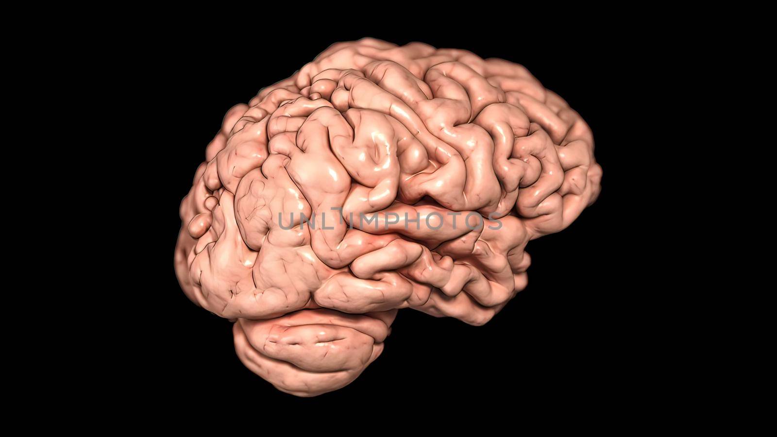 Rotating brain anatomy on black background. 3D medical illustration by creativepic