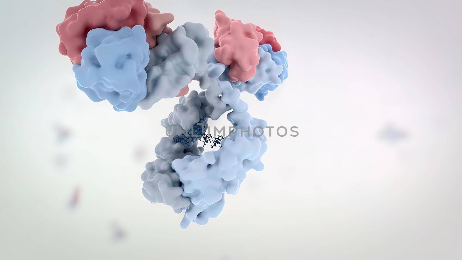 Antibodies are proteins produced by the immune system to fight infections. by creativepic