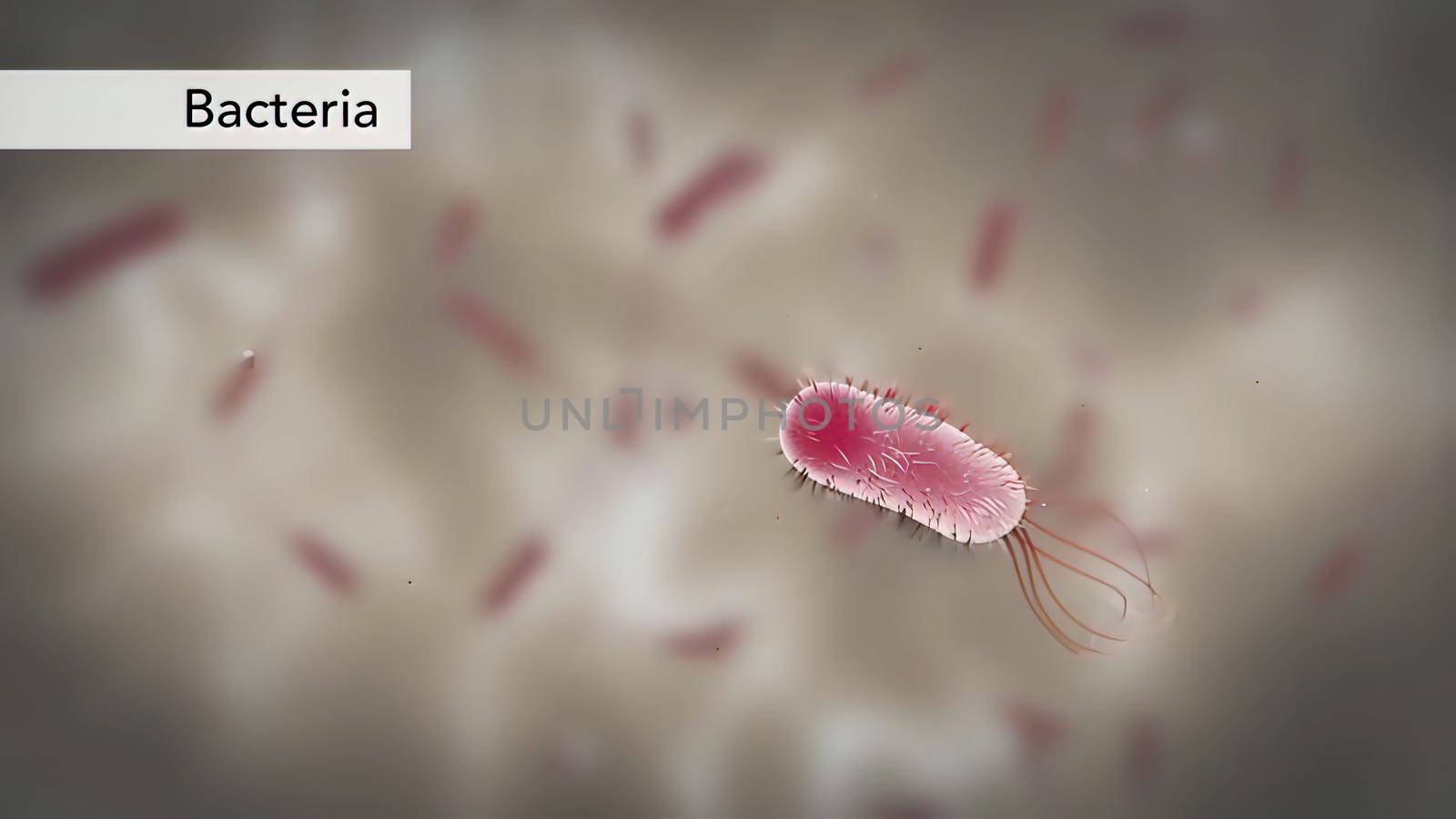 Bacteria Under The Microscope. An 3D illustration clip of a large colony