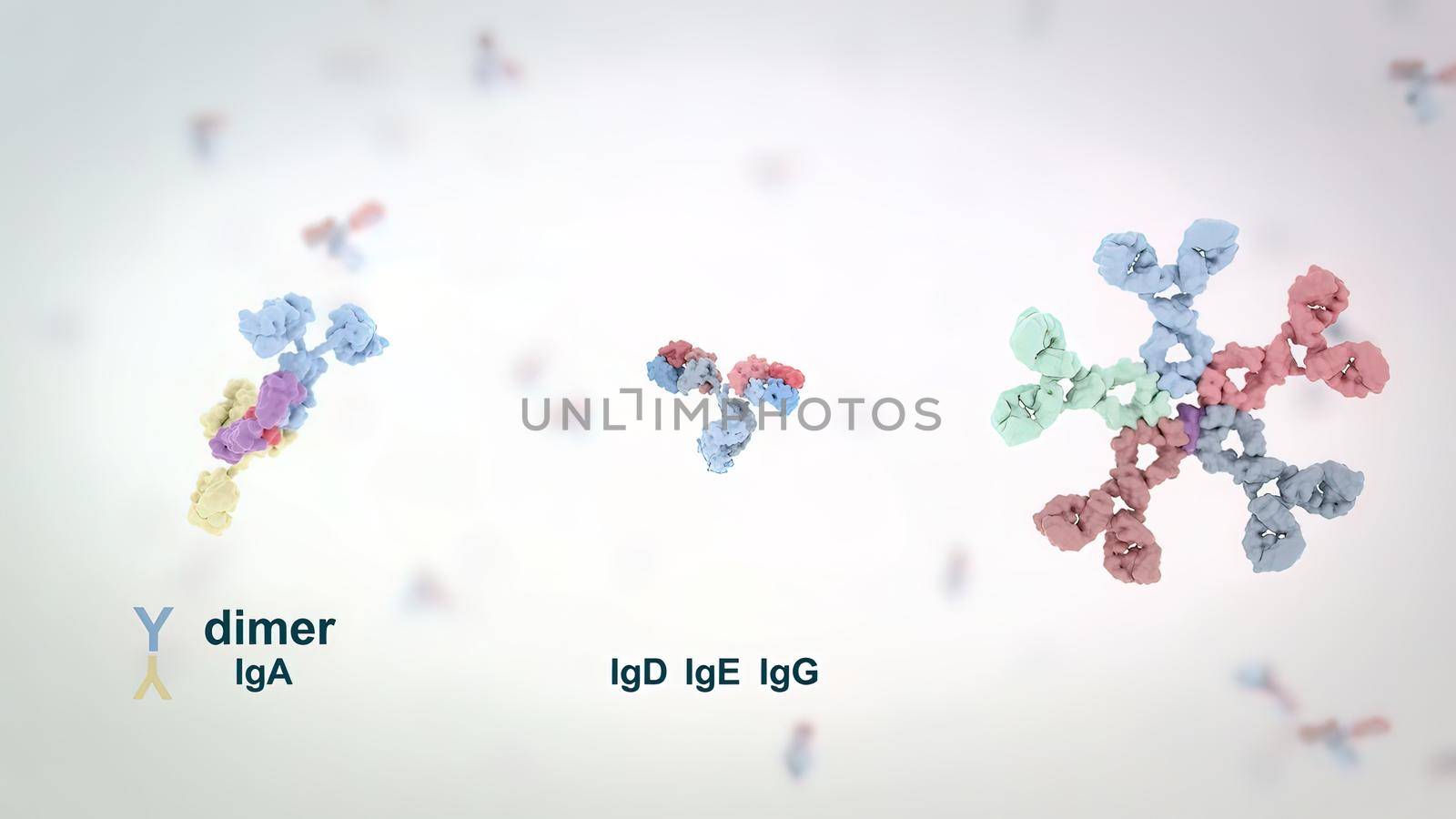 Antibodies are proteins produced by the immune system to fight infections. by creativepic