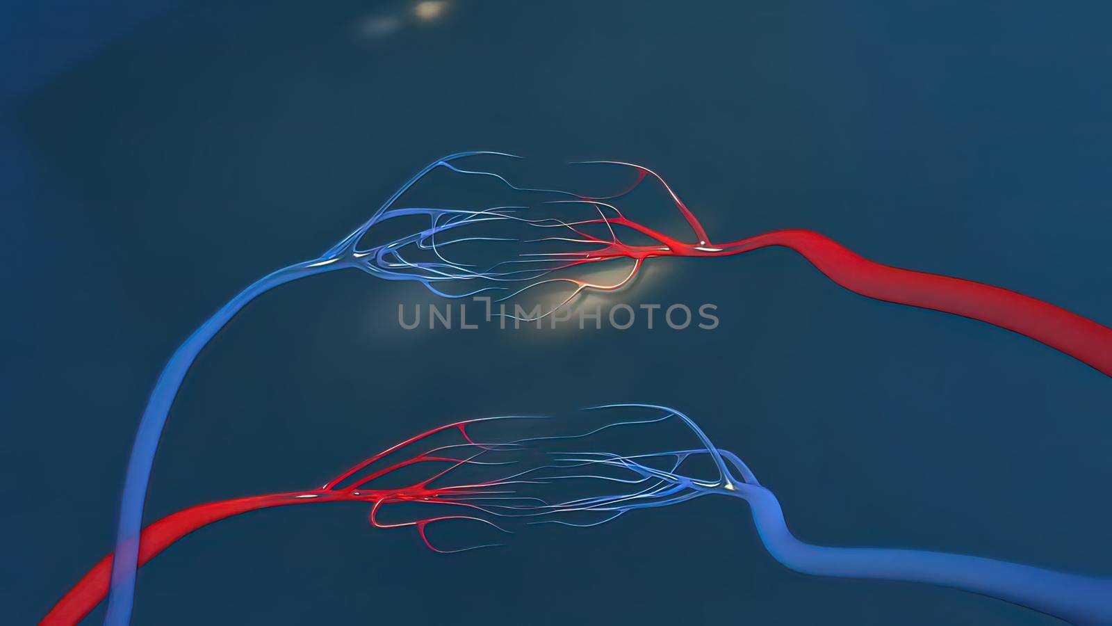 3d illustration blood flow in capillaries by creativepic
