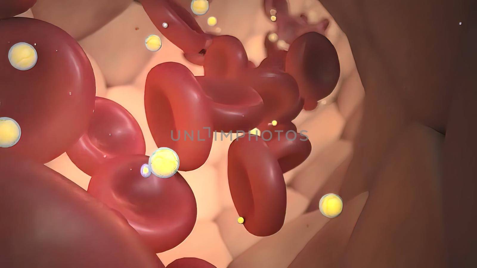 Human Circulatory System Heart Anatomy Animation Concept. 3d illustration