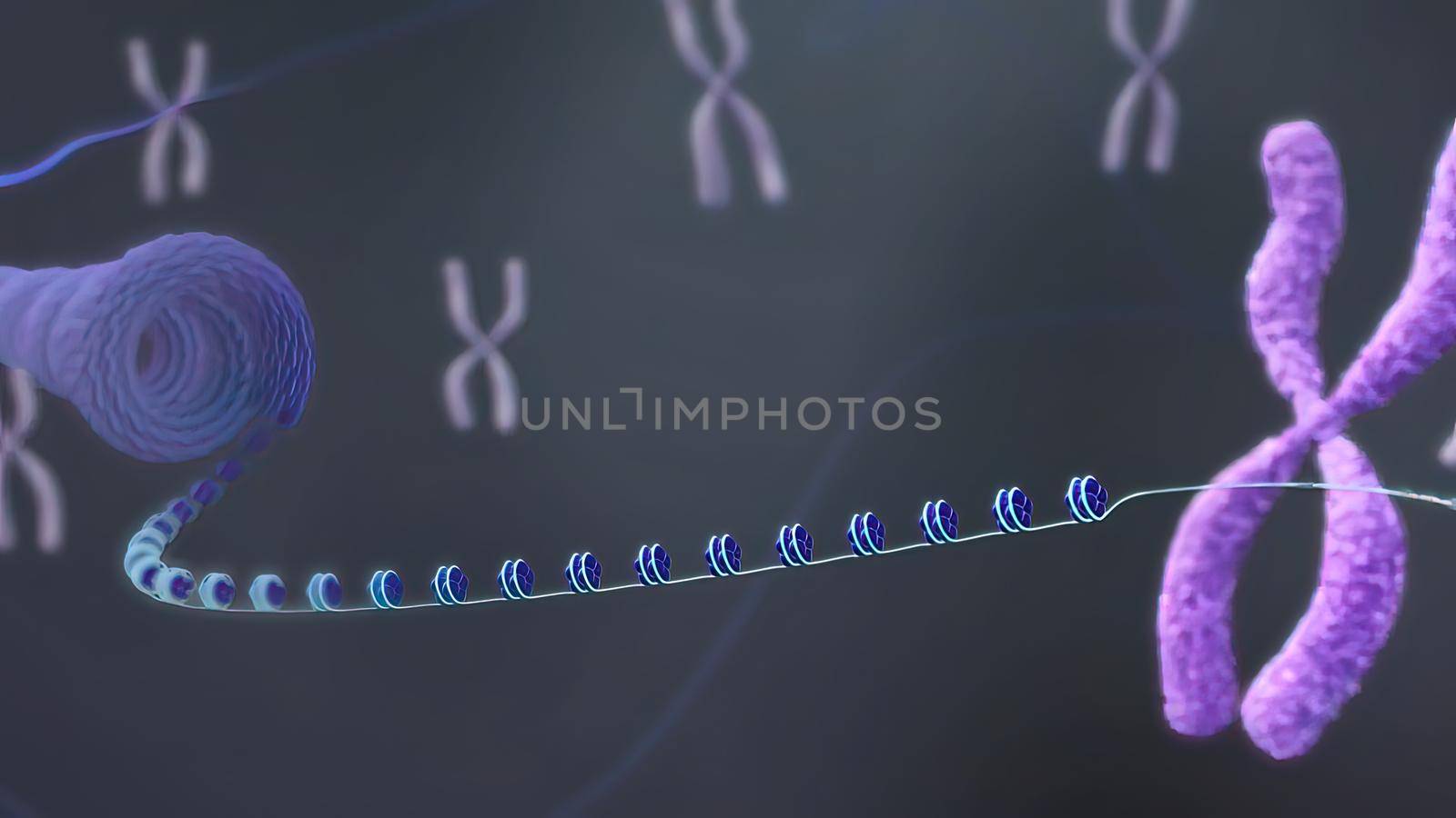 Chromosome and DNA within the cell nucleus 3D illustration