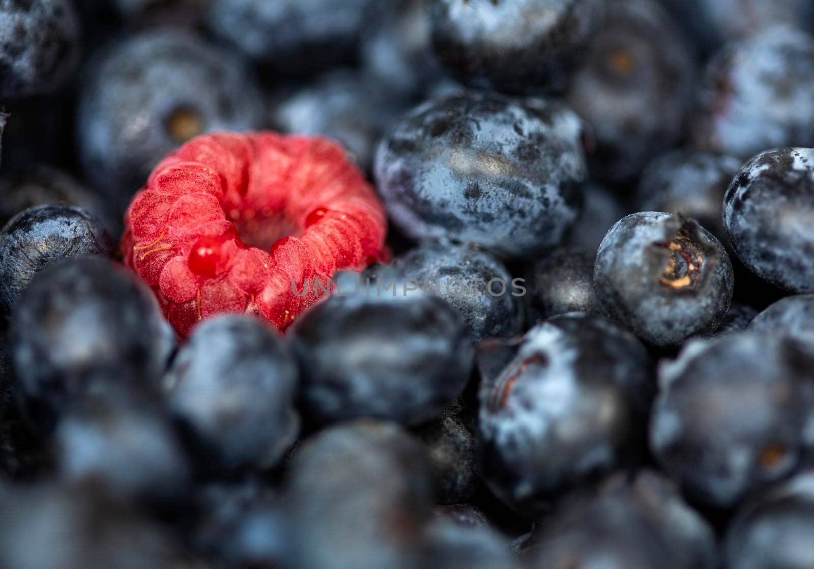 Macro Close Up Fruit Rasberry and blueberry