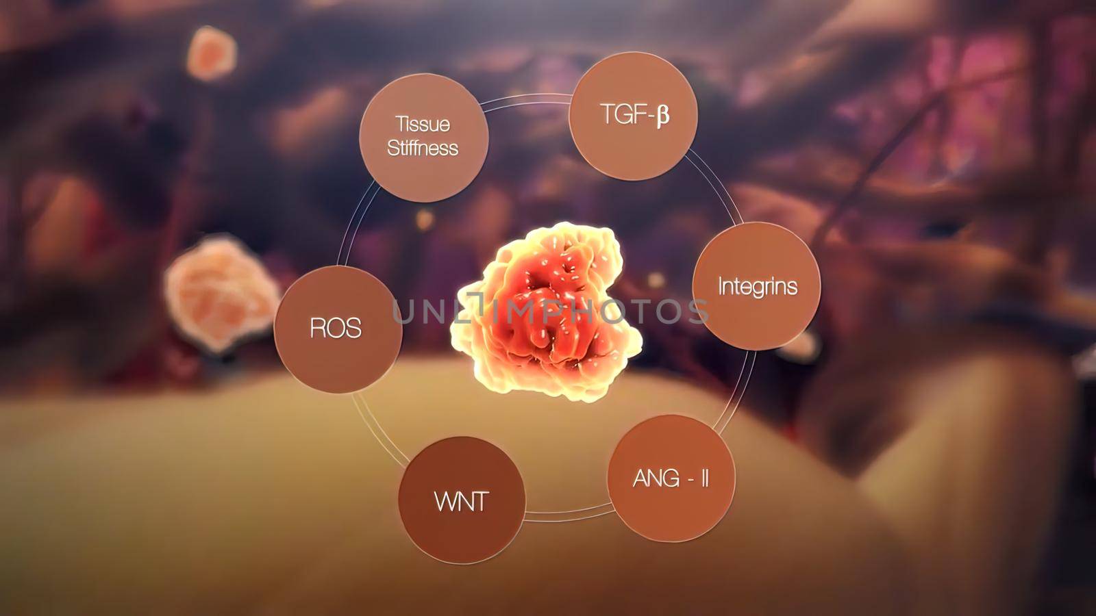 Connective Tissue Growth Factor promotes the proliferation and differentiation of chondrocytes. 3D illustration