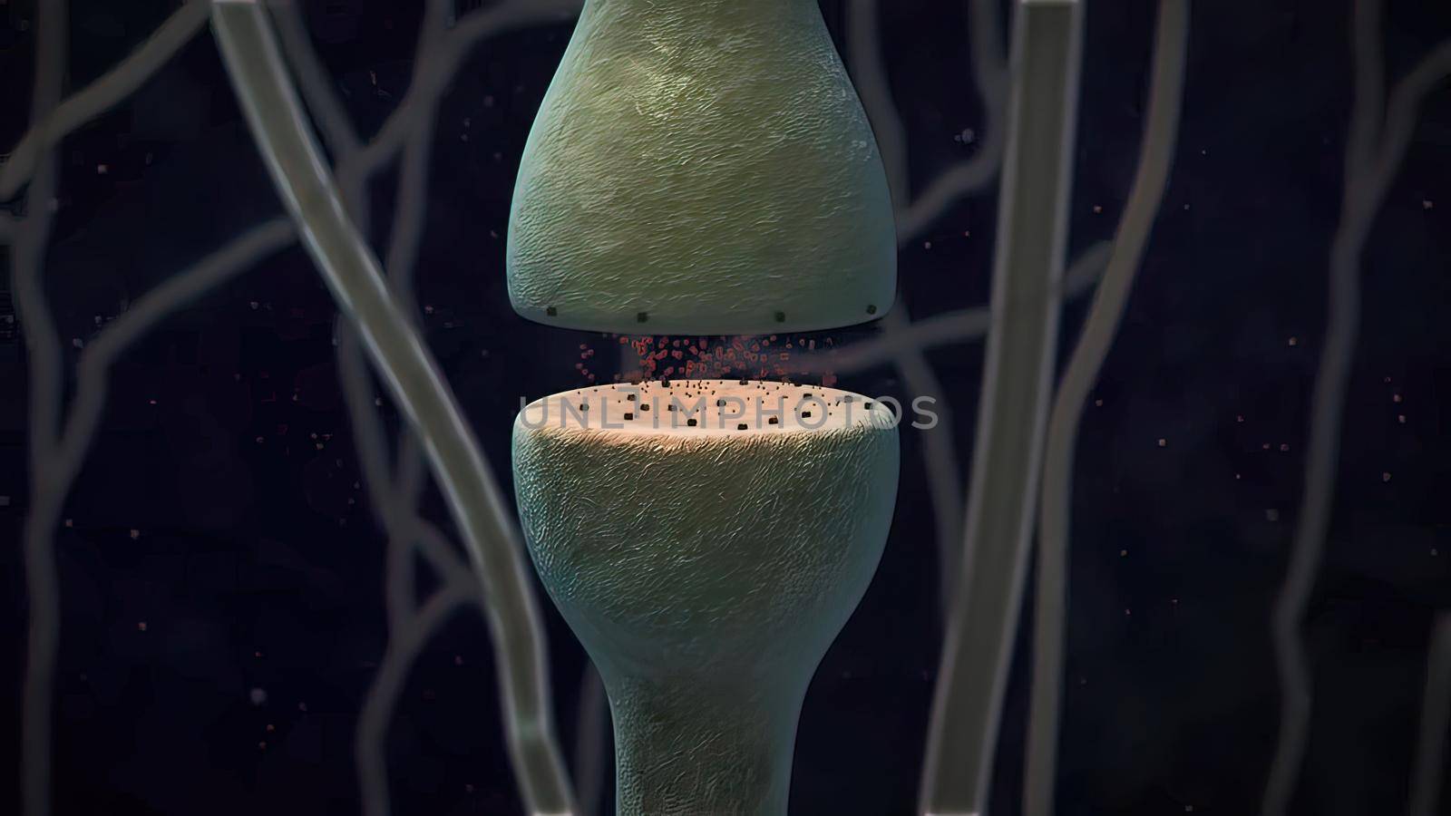 Synaptic transmission, human nervous system 3D illustration