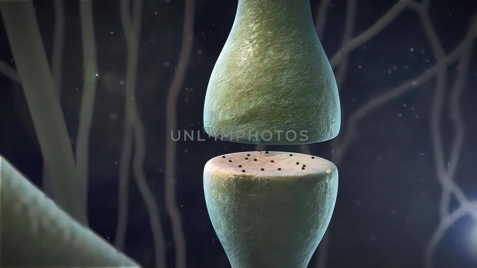 Synaptic transmission, human nervous system 3D illustration