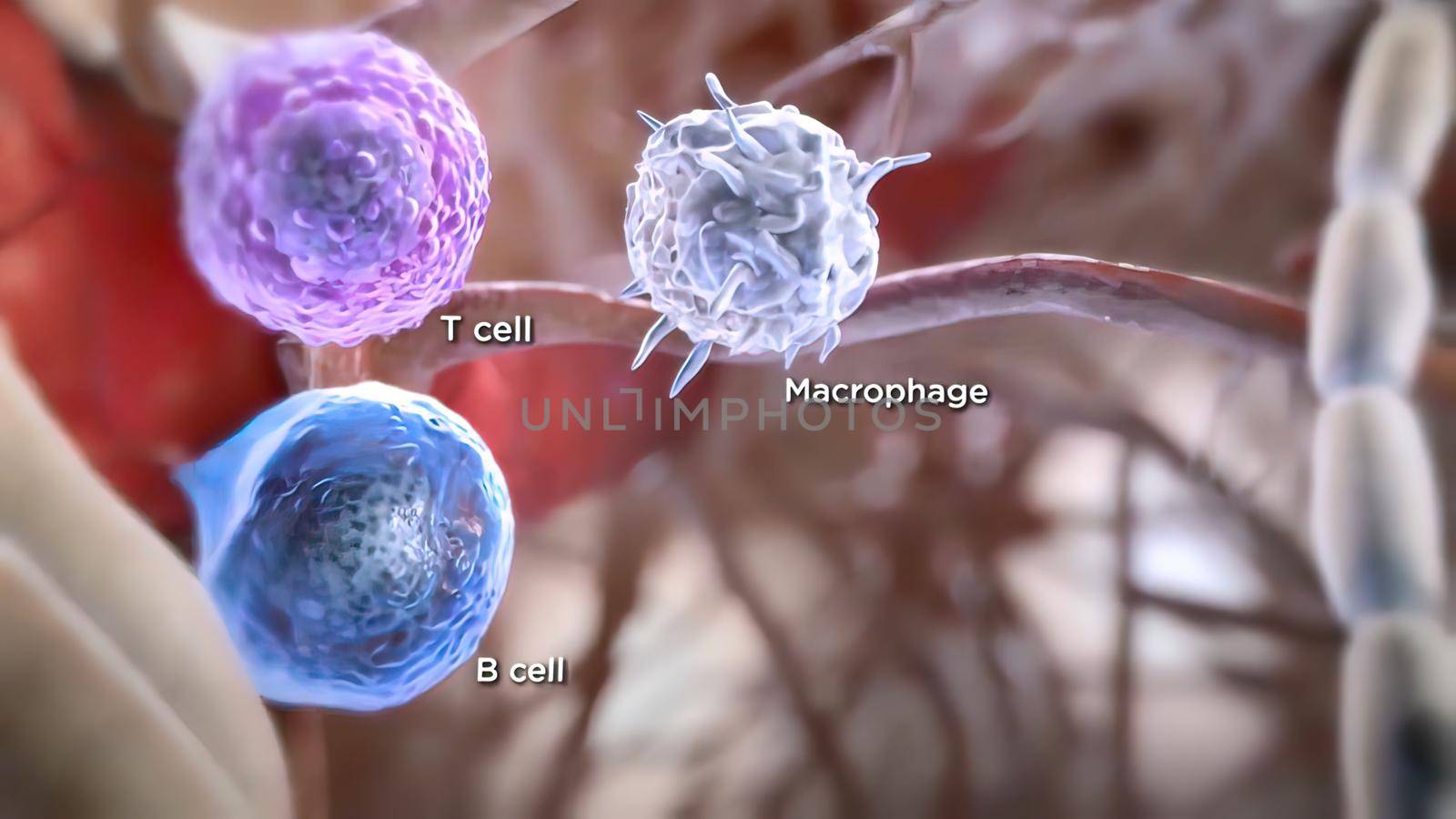 Autoreactive T cell responses have a crucial role in central nervous system 3d illustration