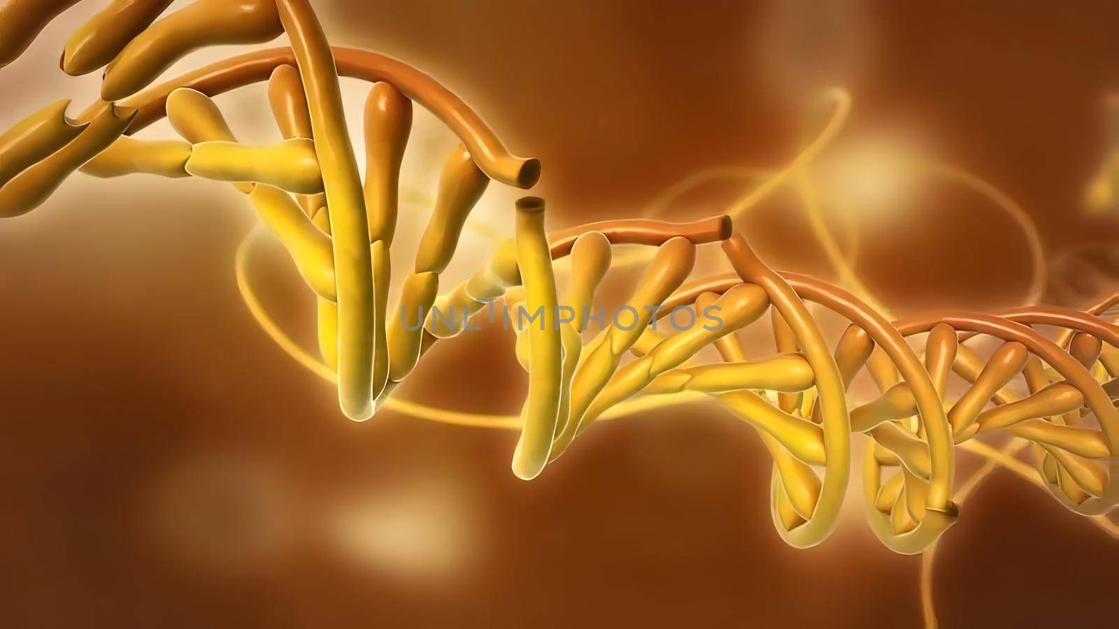 DNA or deoxyribonucleic acid by creativepic