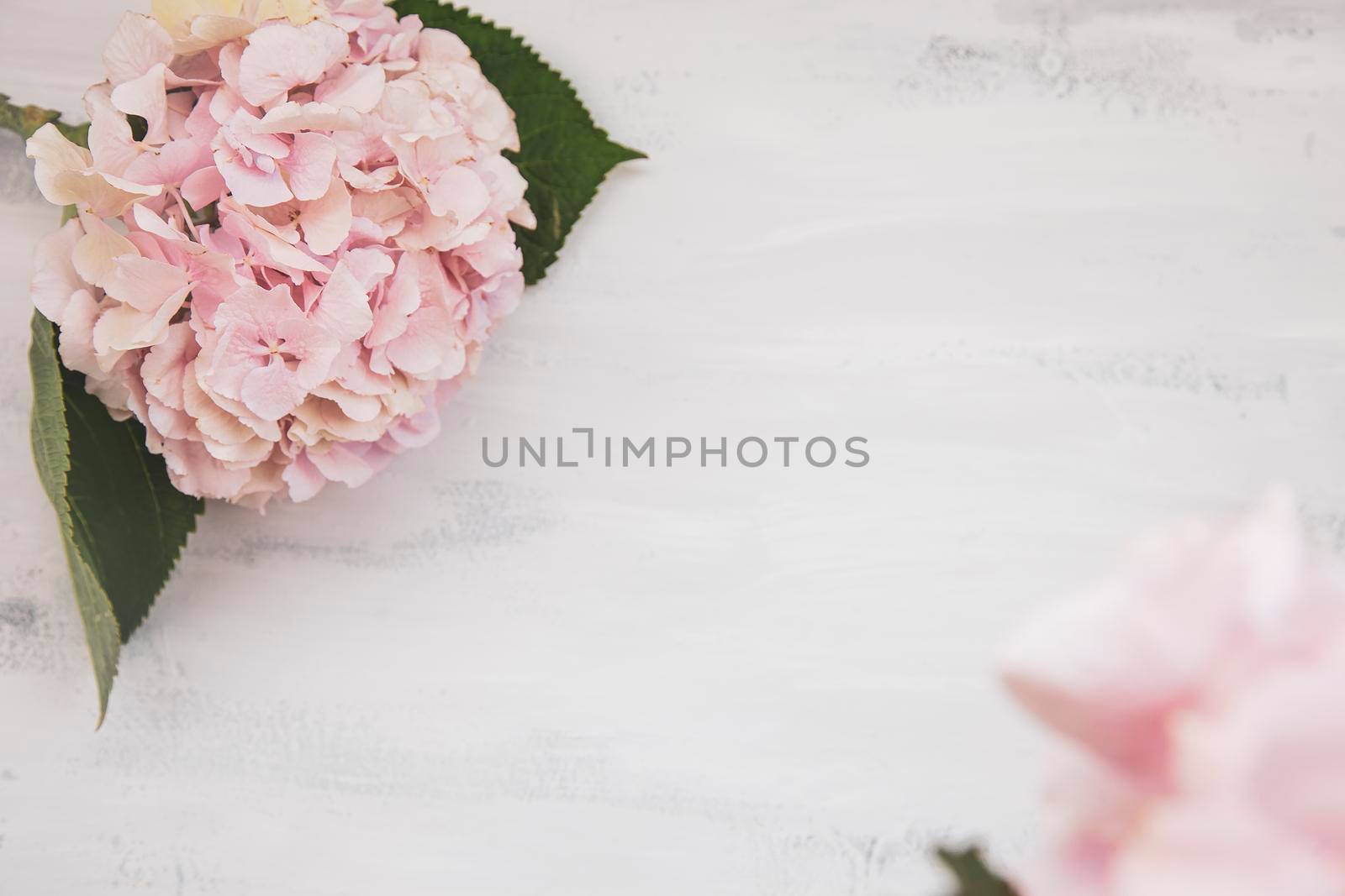 Soft tender shabby chic romantic Background