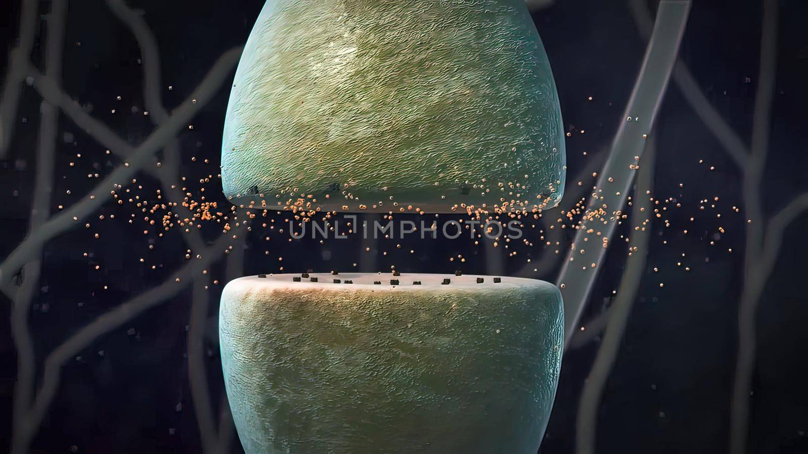 Synaptic transmission, human nervous system by creativepic