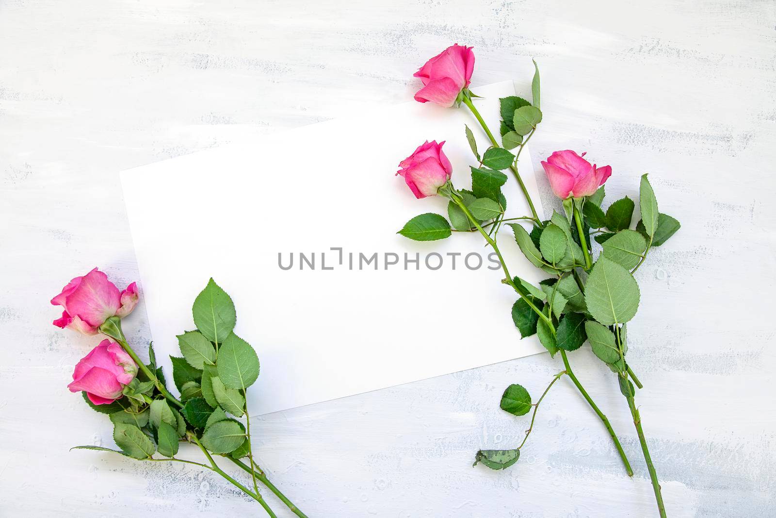 Empty shabby chic background for wedding event design
